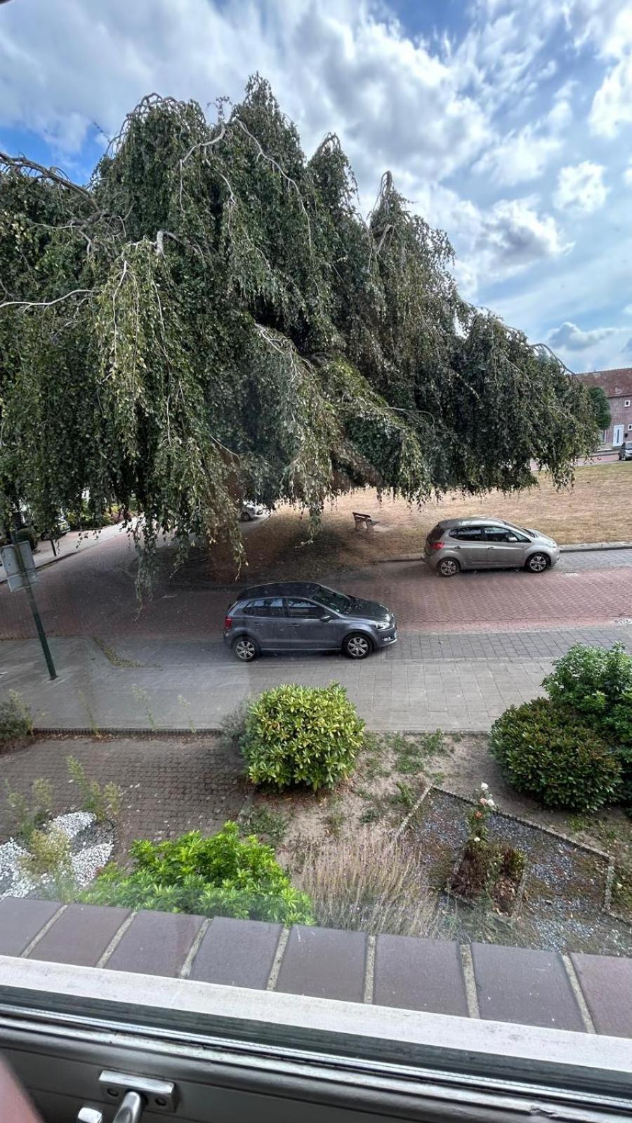 Entire Villa, free breakfast, free parking