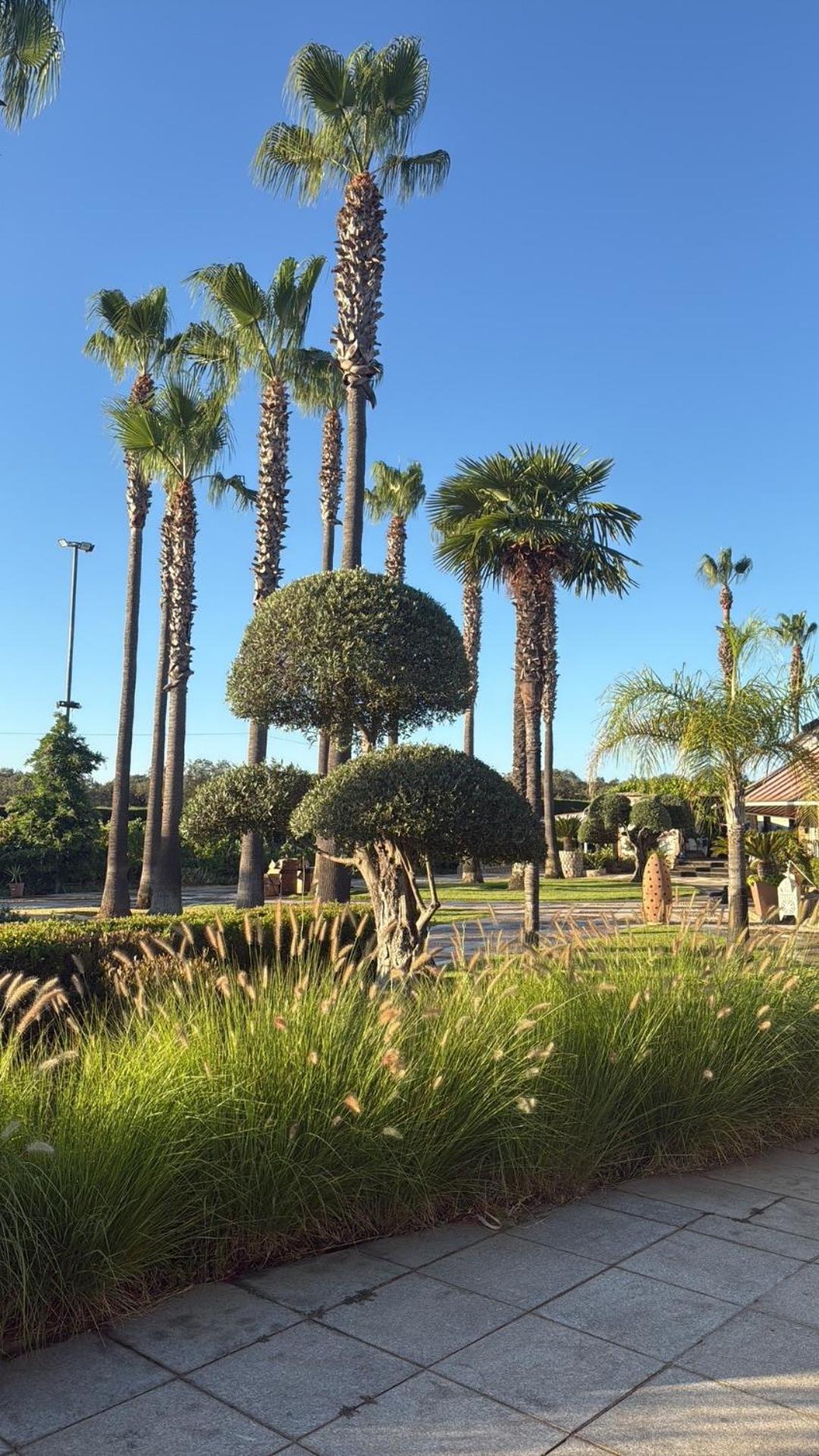 Villa La Piedra