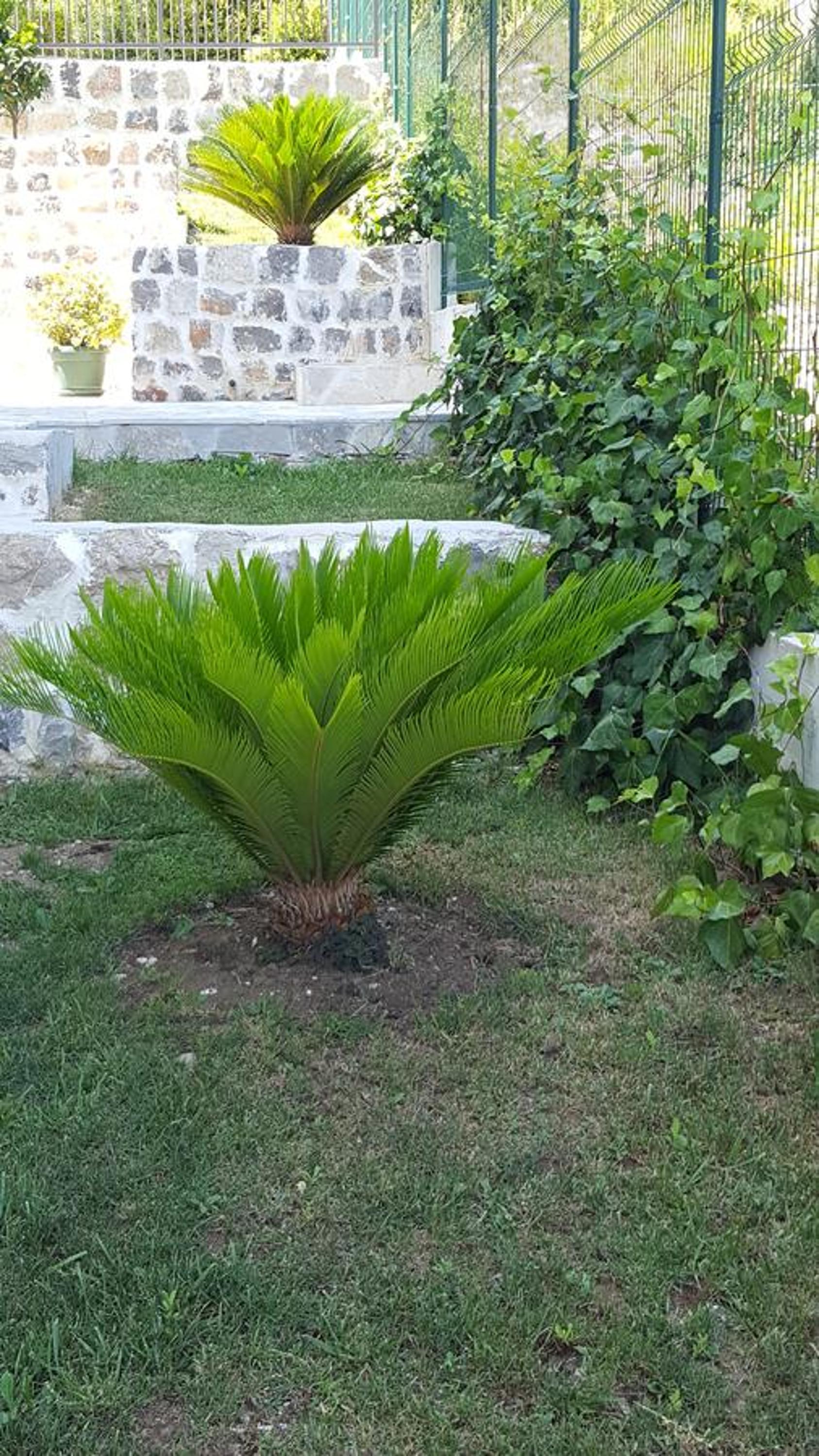 Villa Soleada