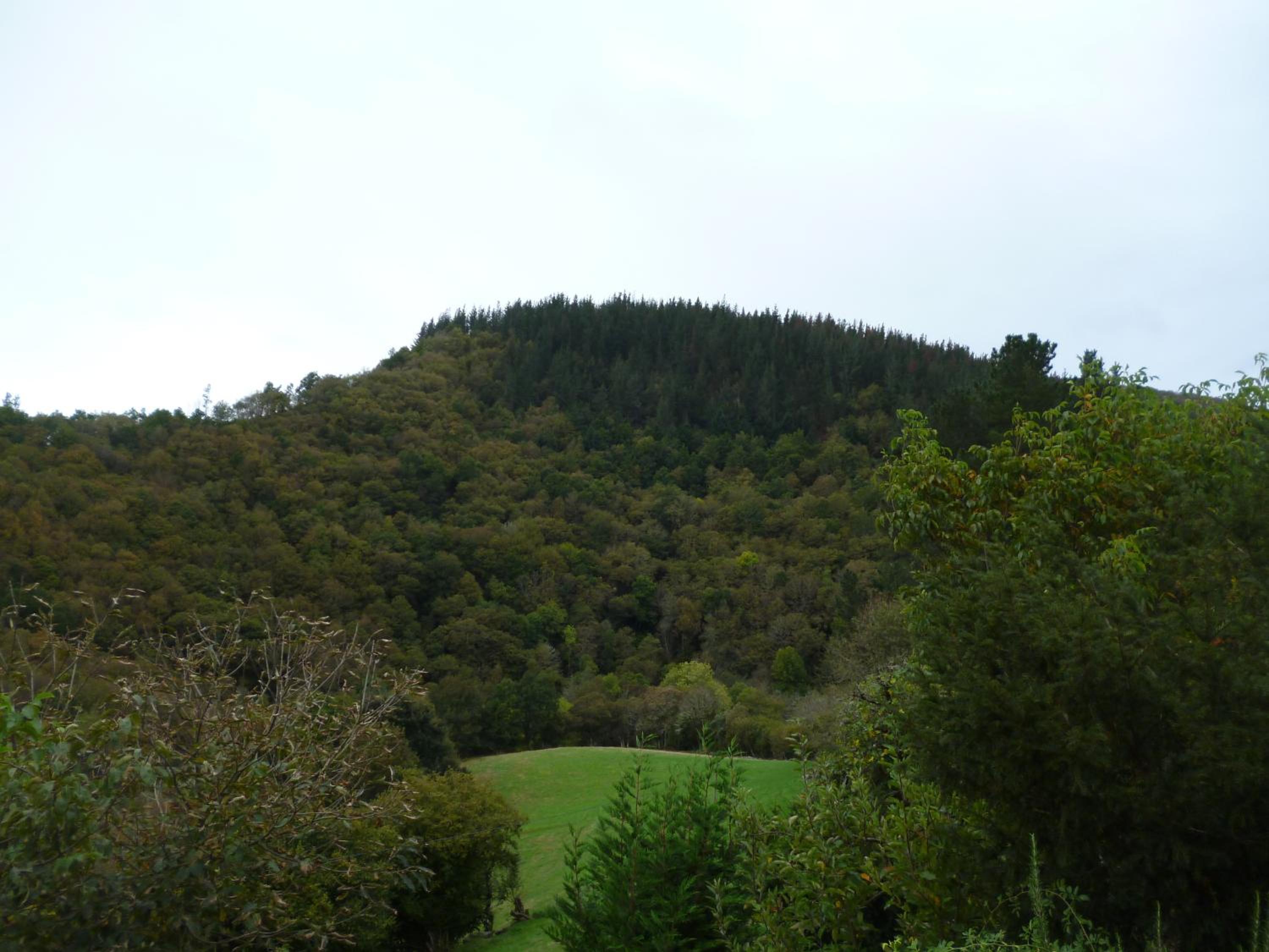 Photo 43