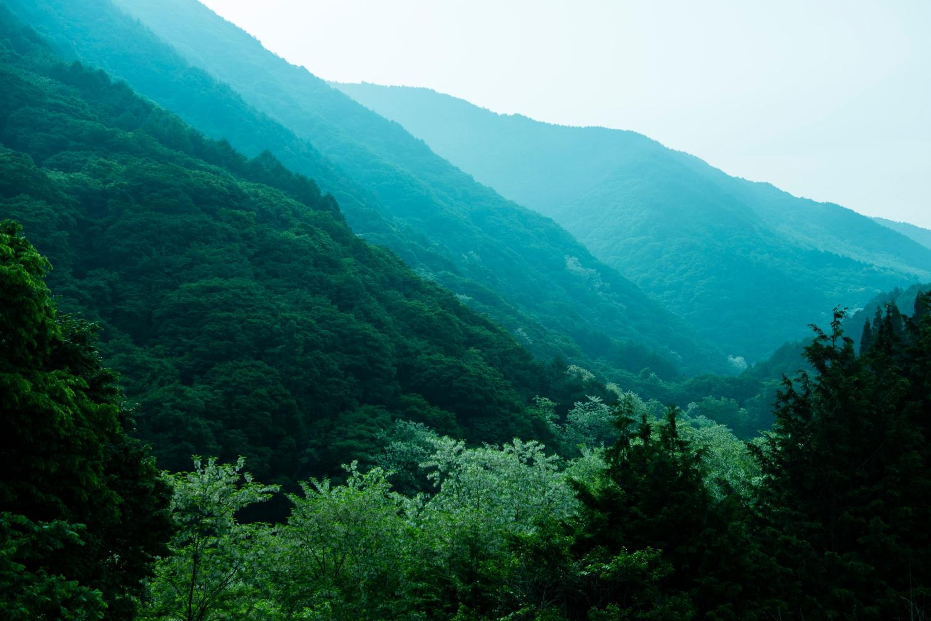 Myojinkan