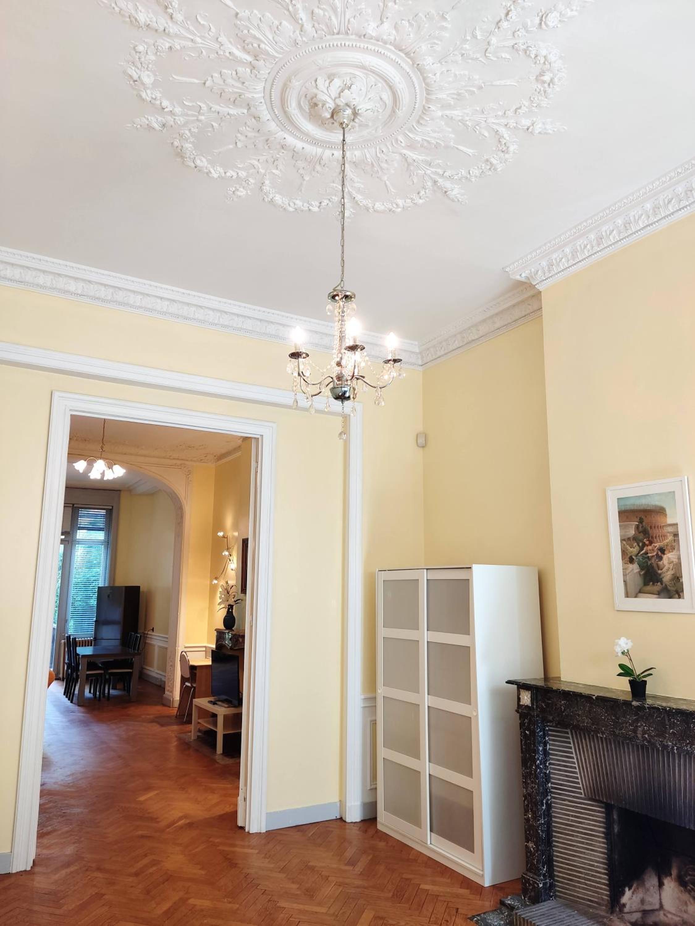 Bright 1BR with terrace near Montgomery