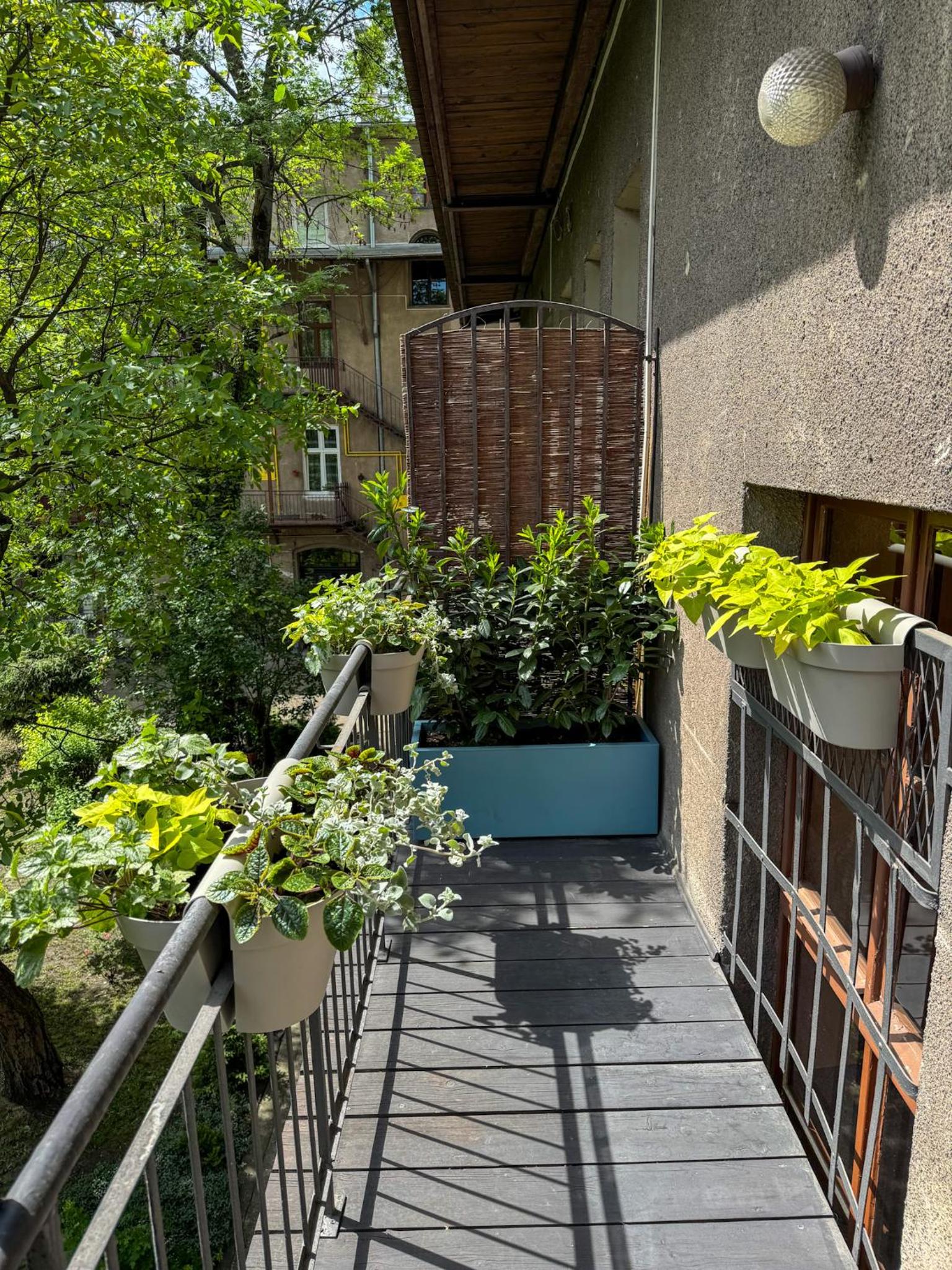 Moja apartments