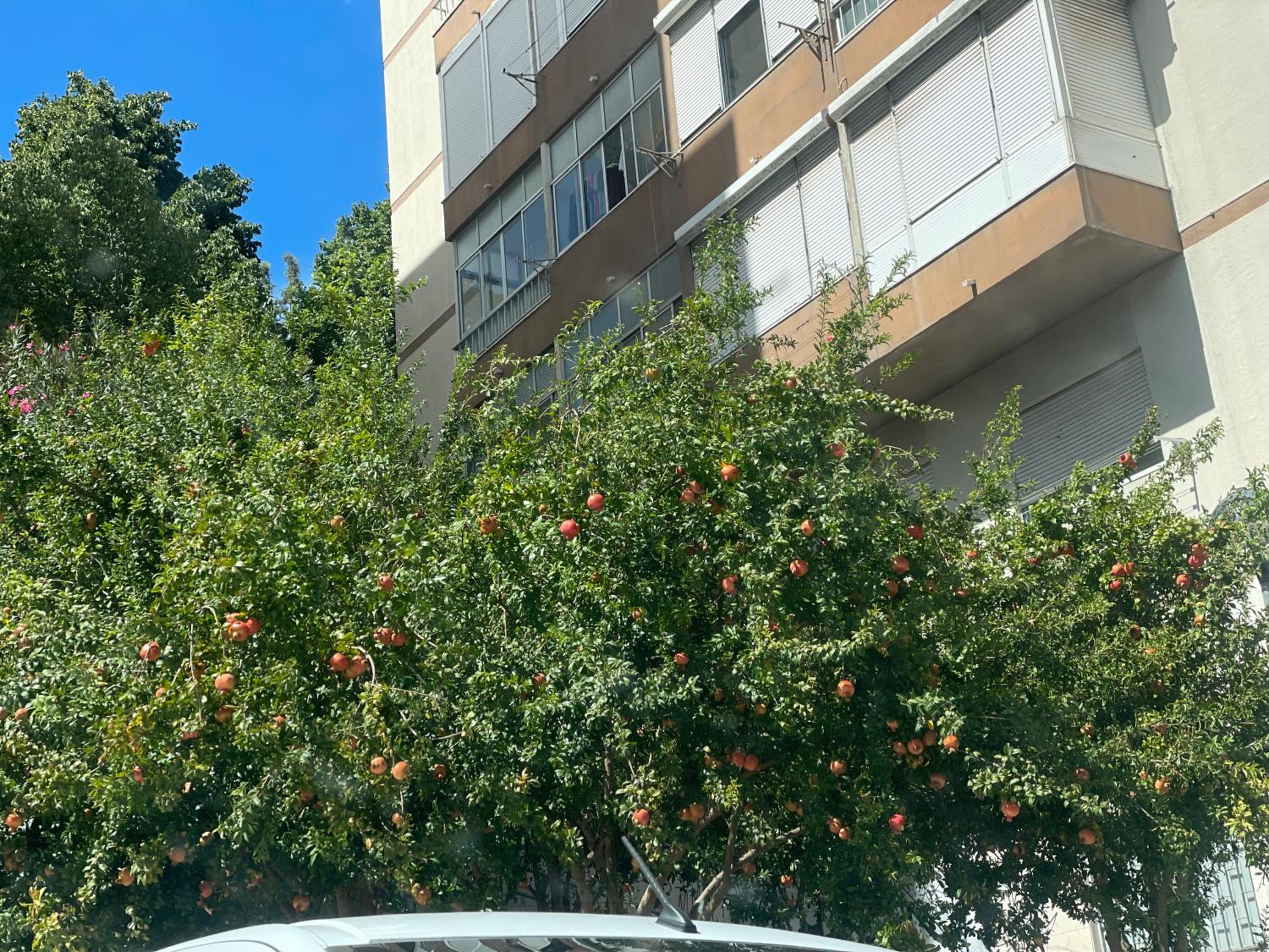 Luxury rooms in central Lisbon next station Odivelas