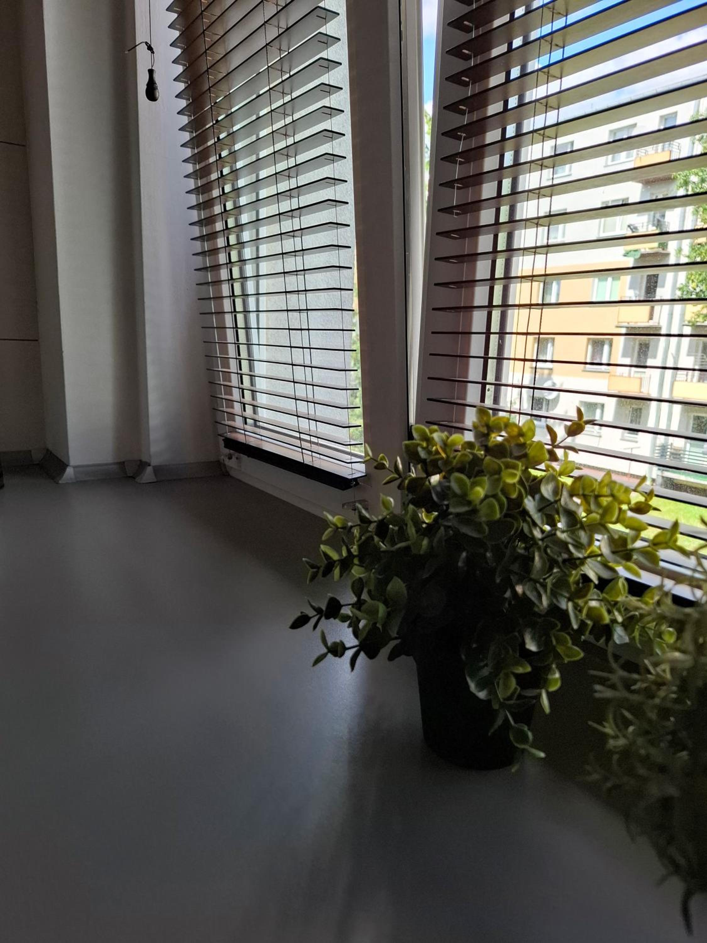 Alma Apartments Starachowice, photo 11