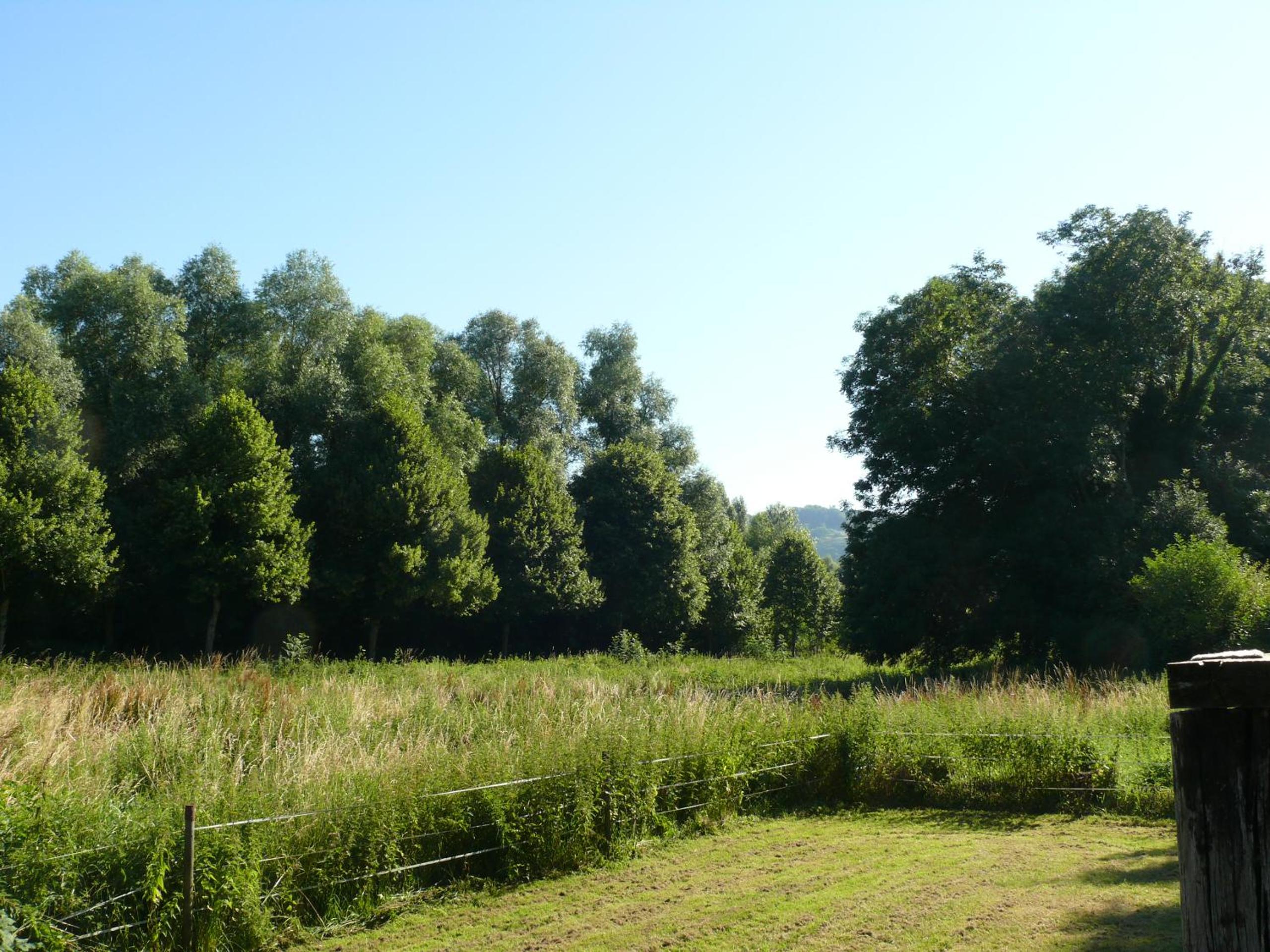 Ferme renel view 5