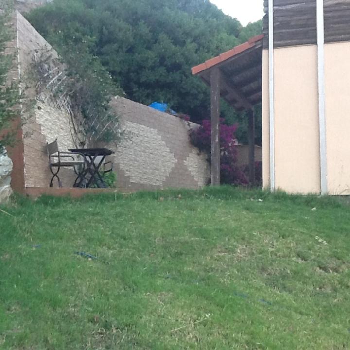 Photo 25