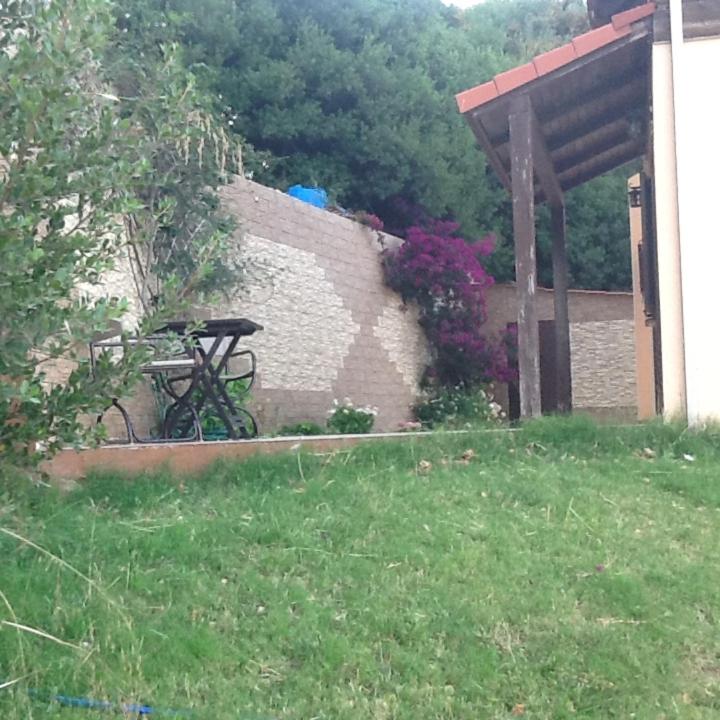 Photo 23