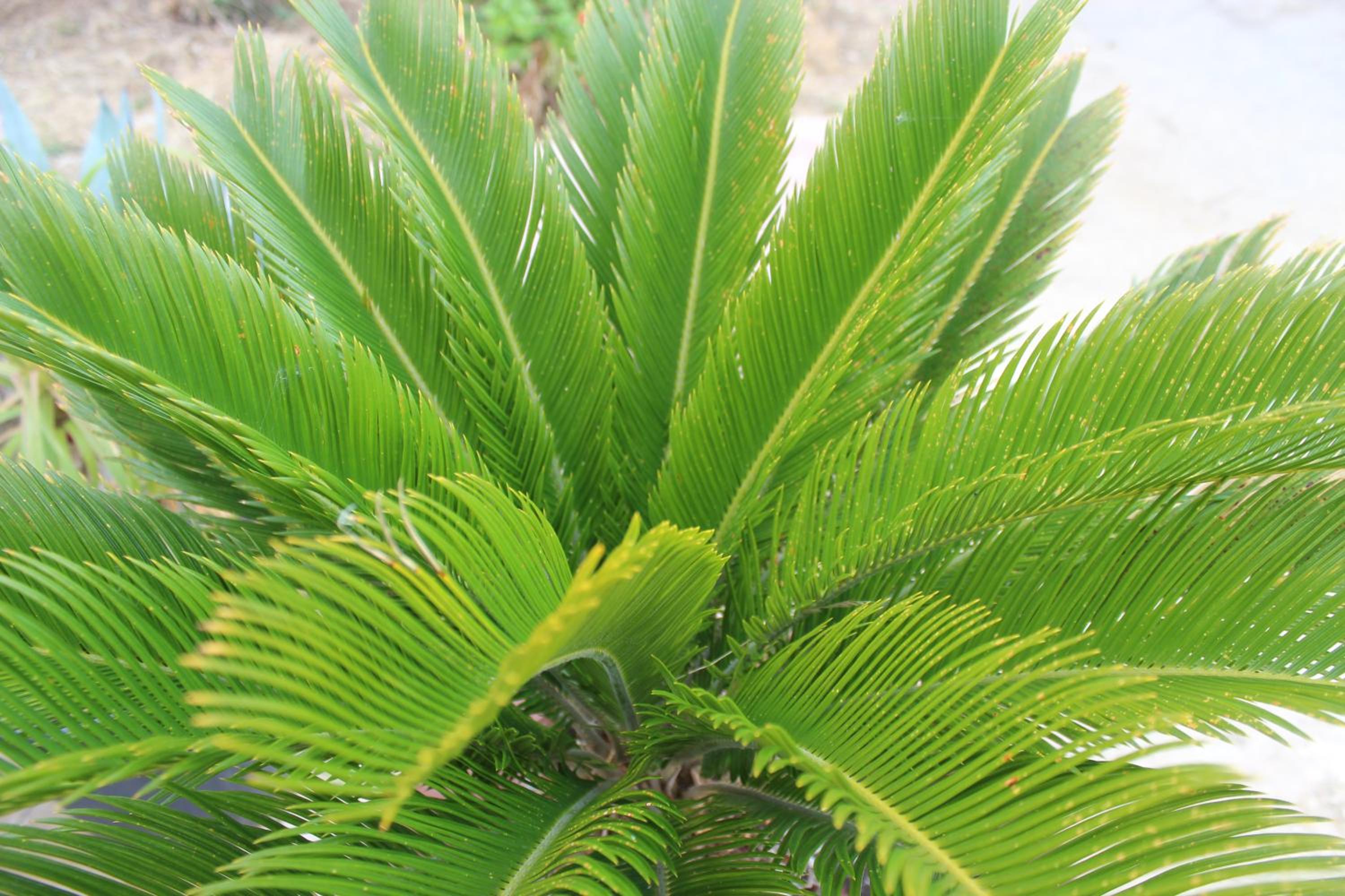 Photo 46