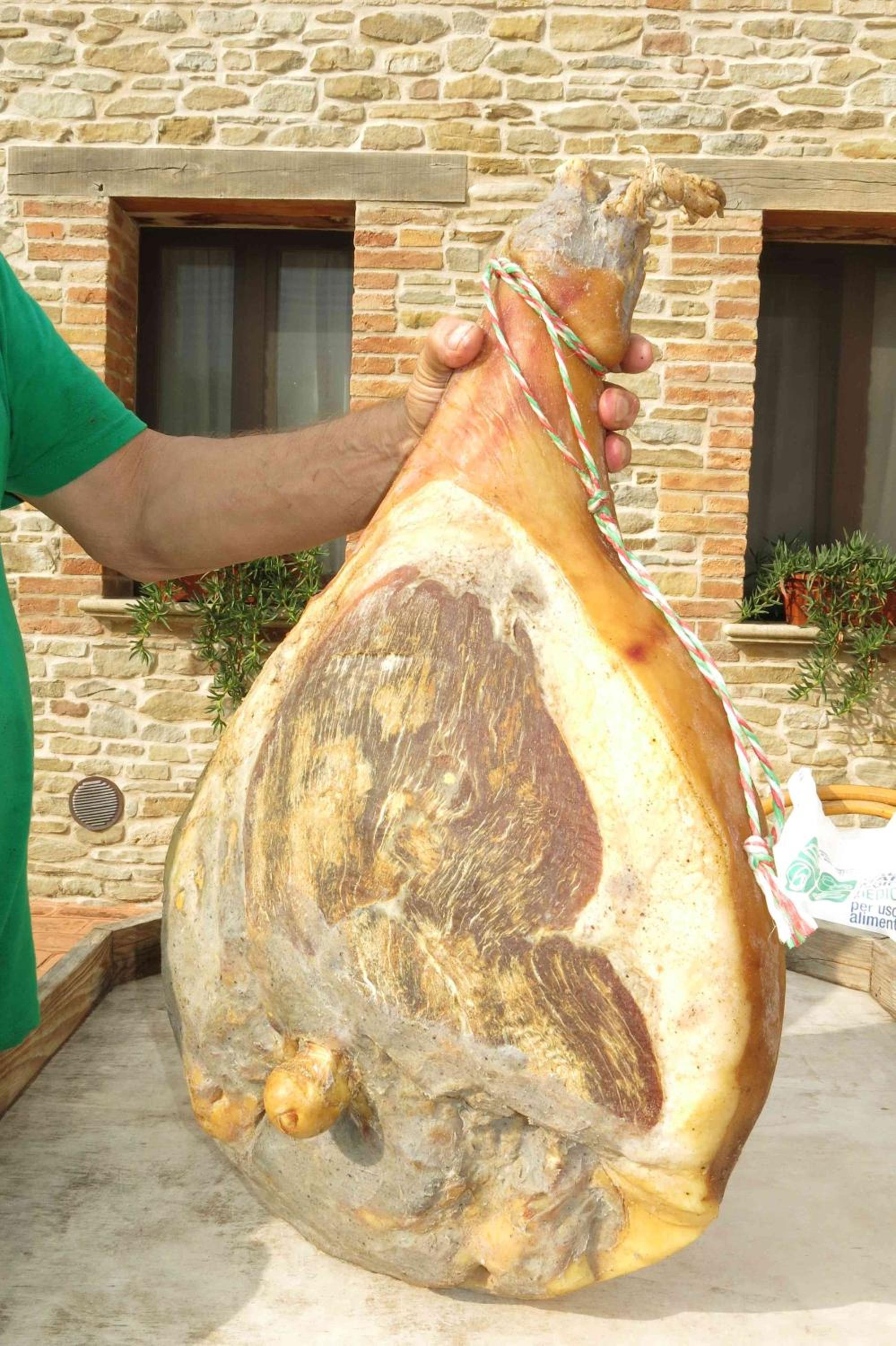 Agriturismo Biologico Villa Rosa