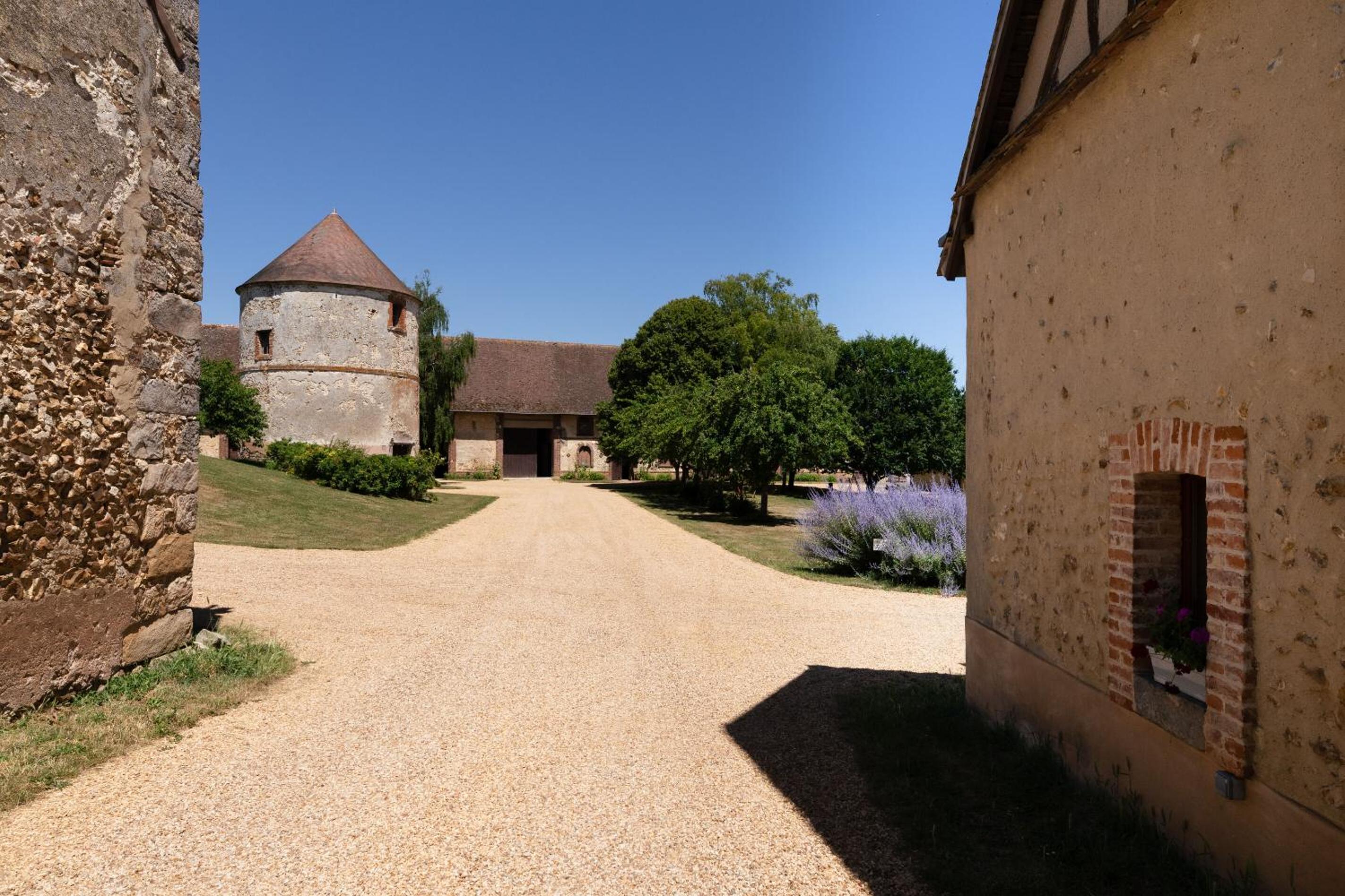 Photo 12