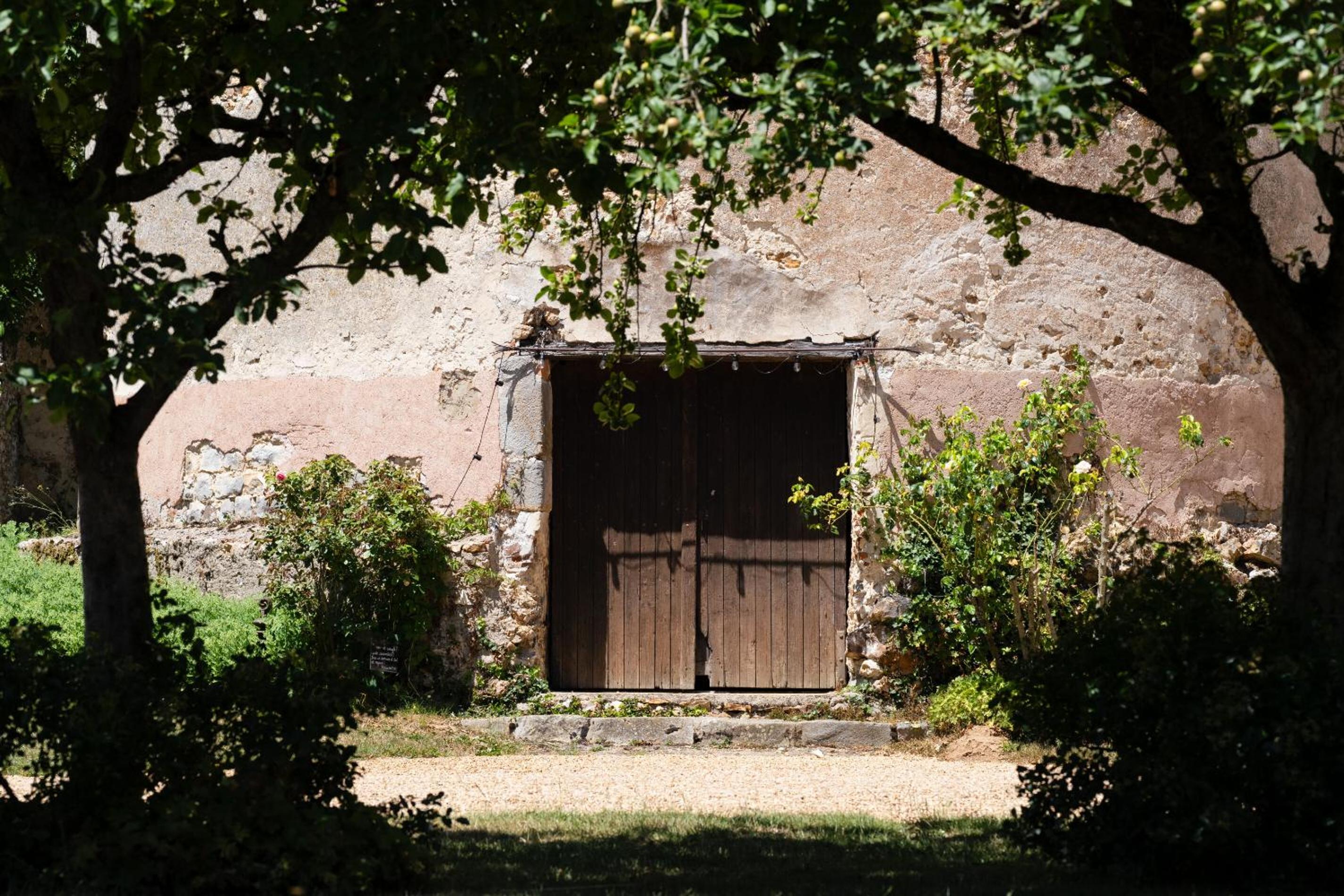 Photo 46