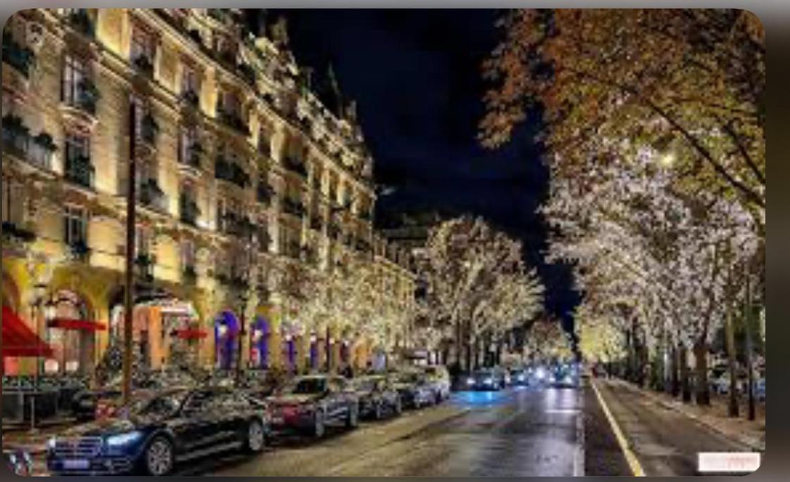 Champs-Élysées Montaigne luxe