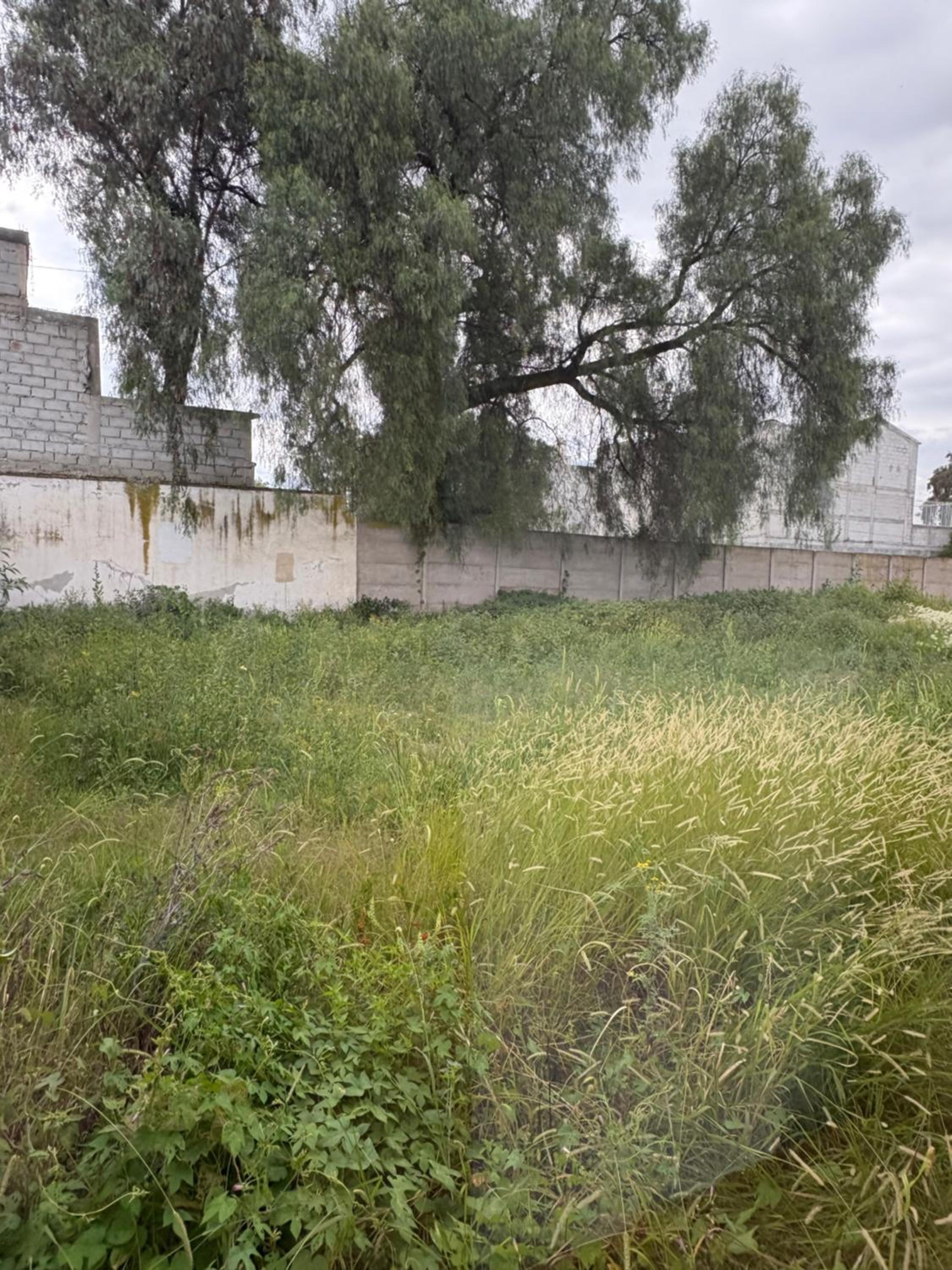 La Finca Tilhuacán