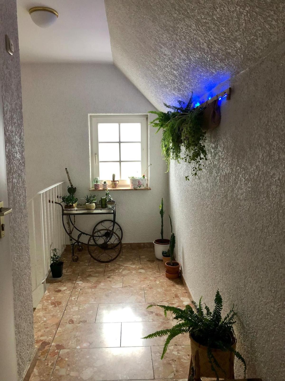 Moderne Fachwerk-Wohnung im Herzen von Herborn