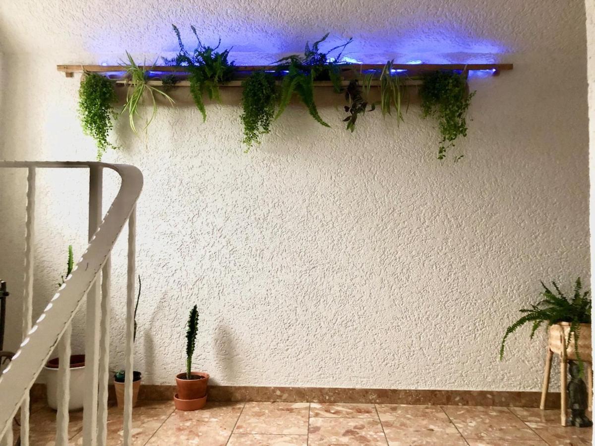 Moderne Fachwerk-Wohnung im Herzen von Herborn