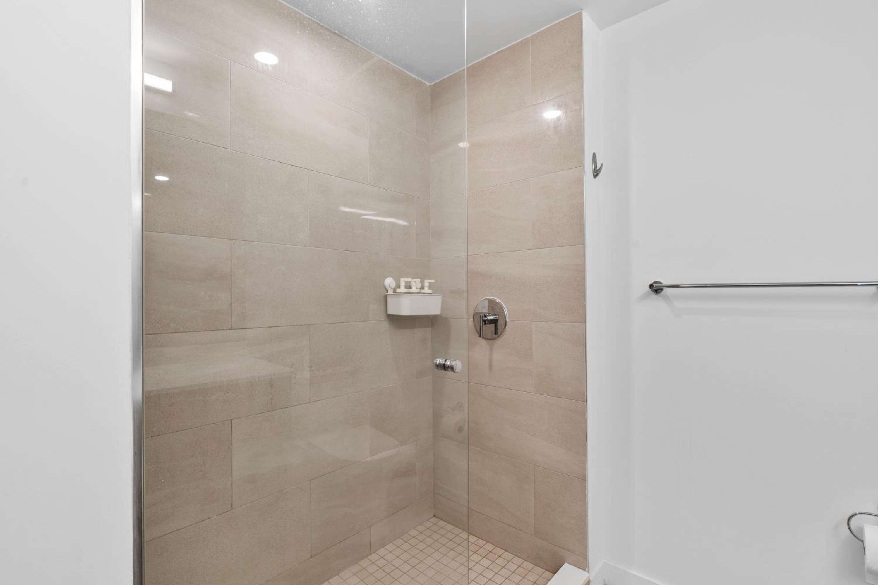 Luxury Pent House Suite with Downtown Views