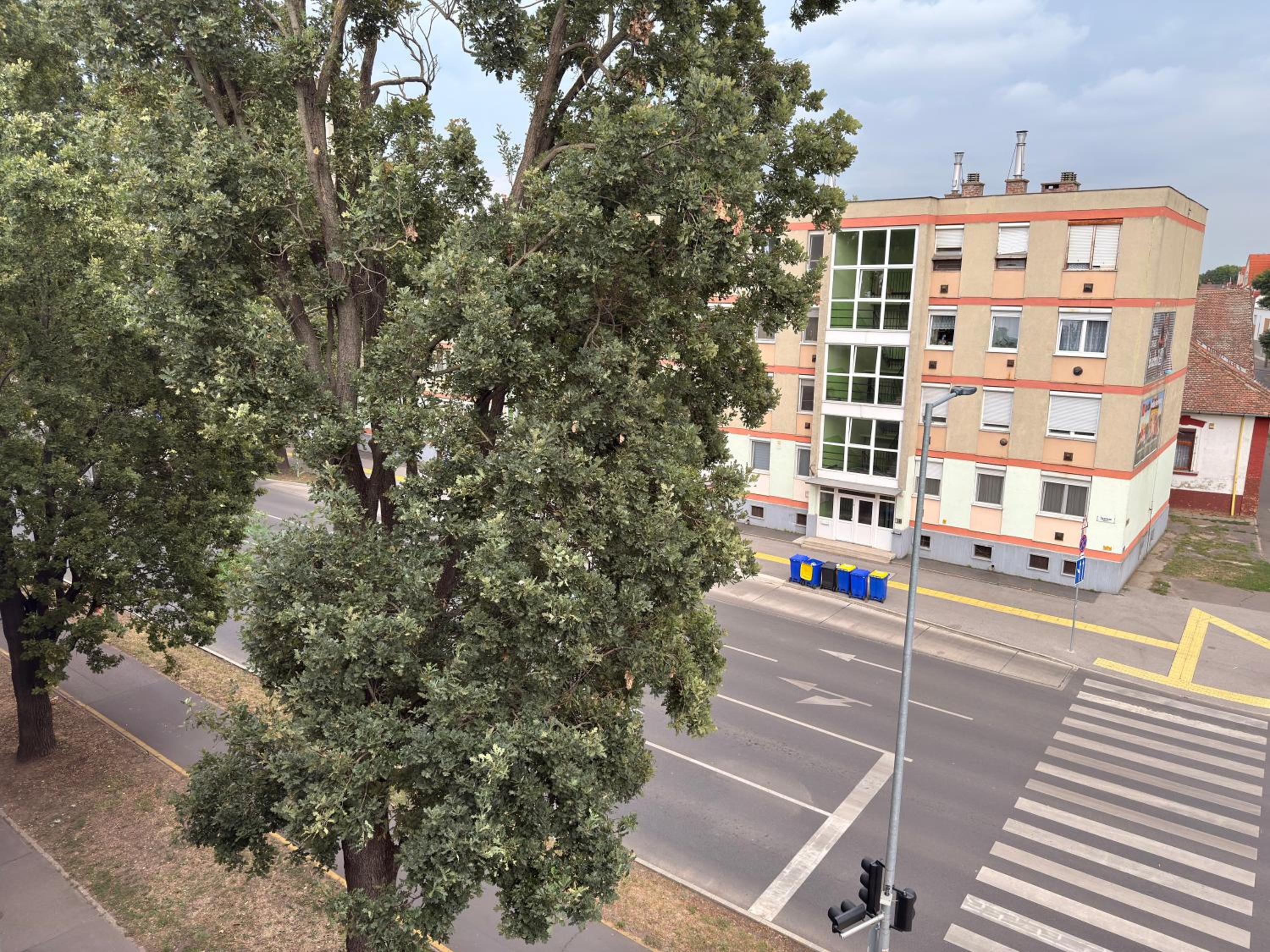 City Center & Free Parking - Rest & Nest Boho Deluxe Apartment
