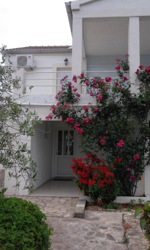 Apartment Ruza view 2