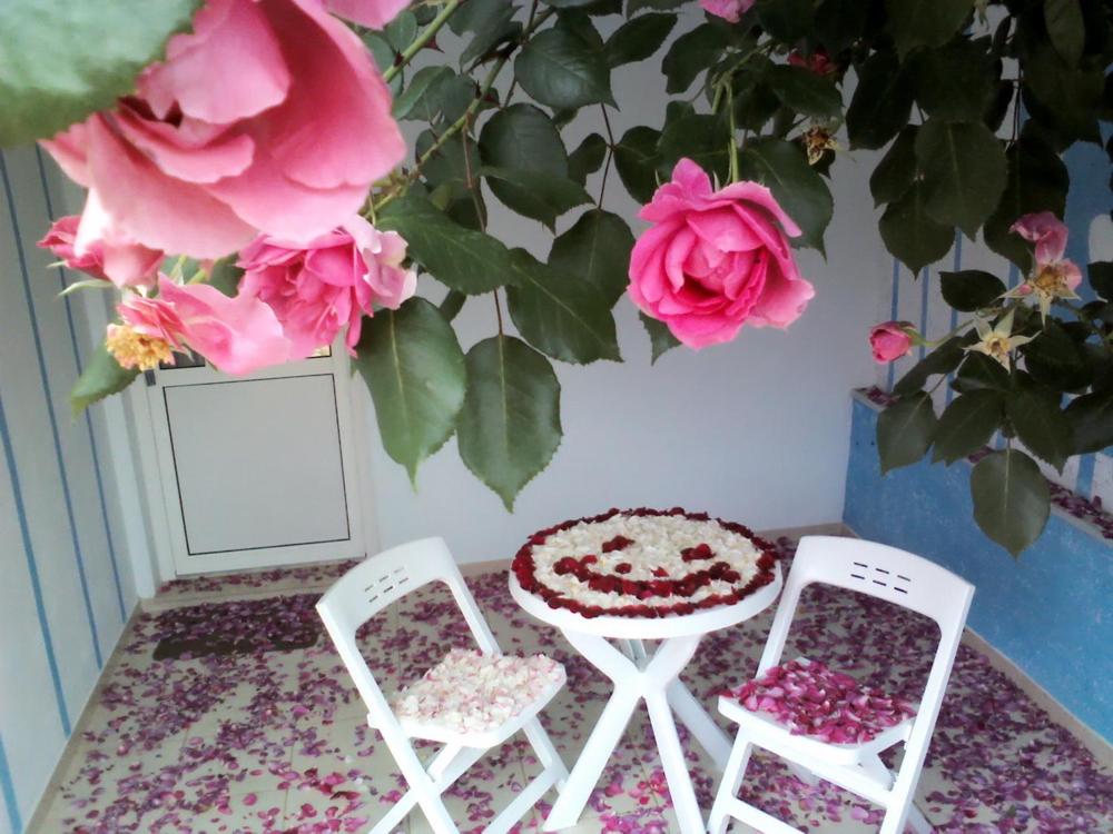 Apartment Ruza view 4