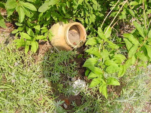 Photo 24
