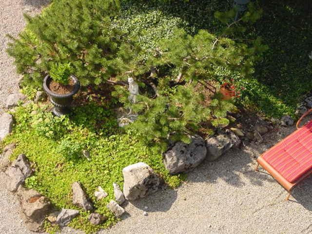 Photo 27