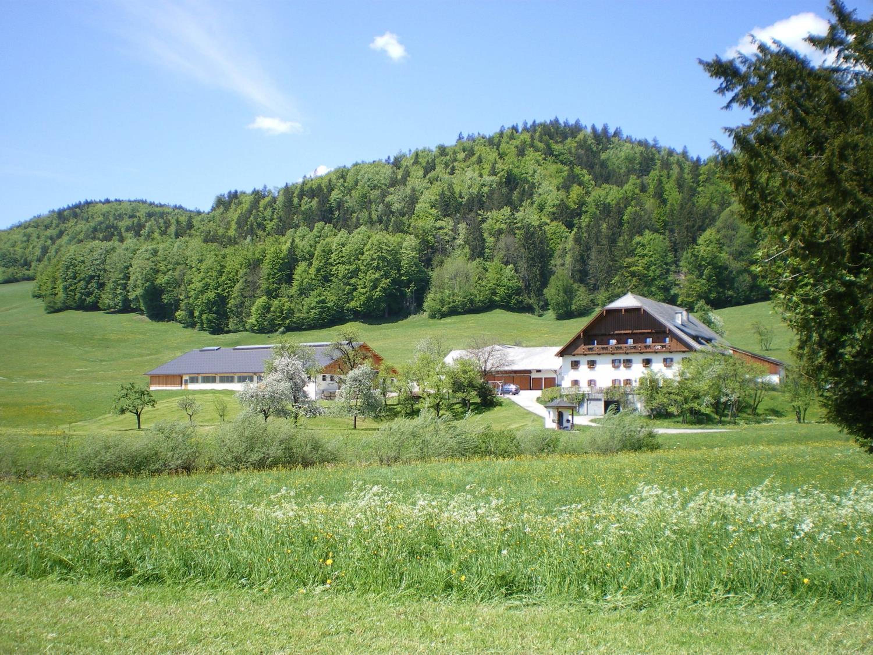 Russbachbauer