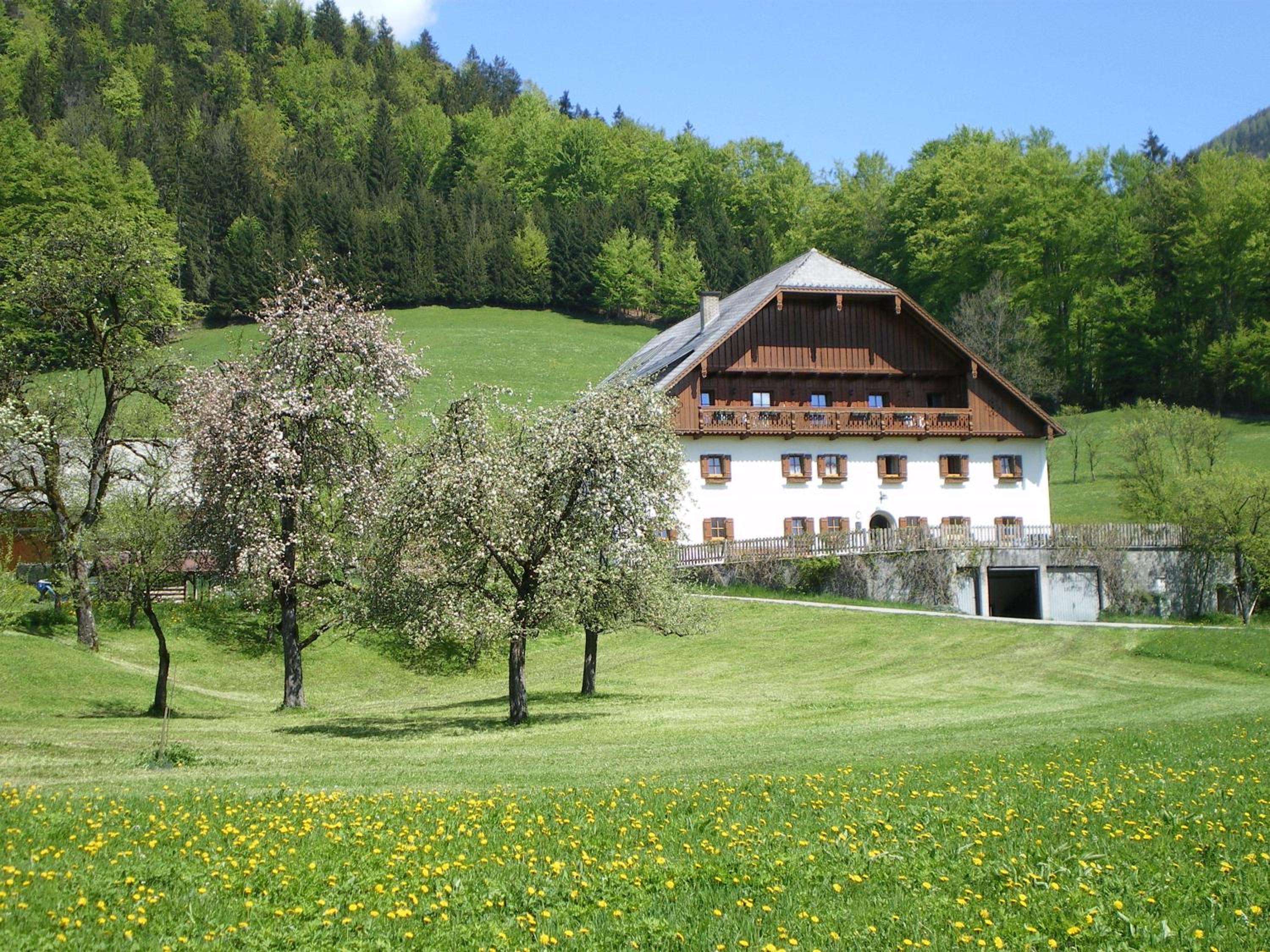 Russbachbauer