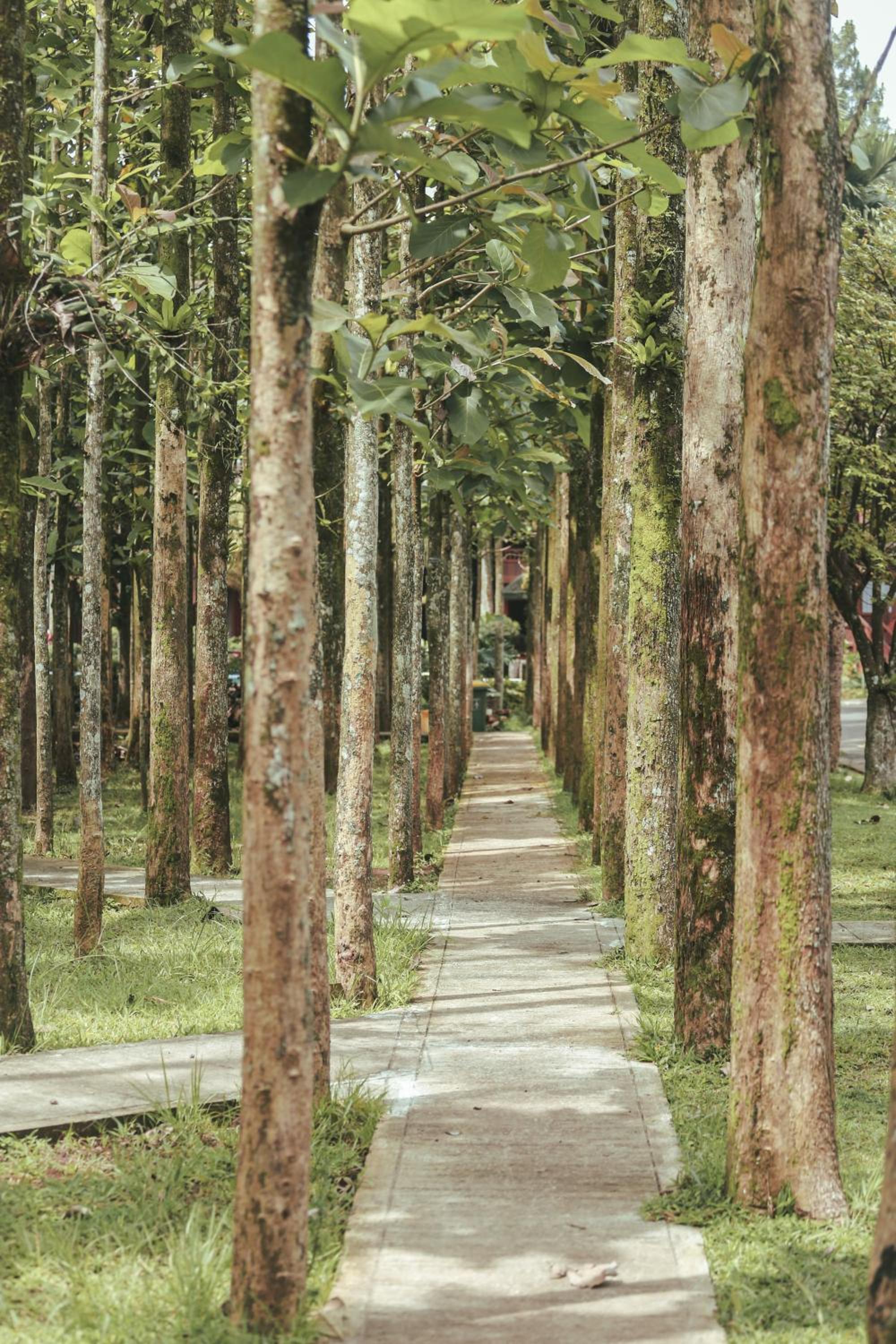 Jatimas Hijau Hotel & Villa