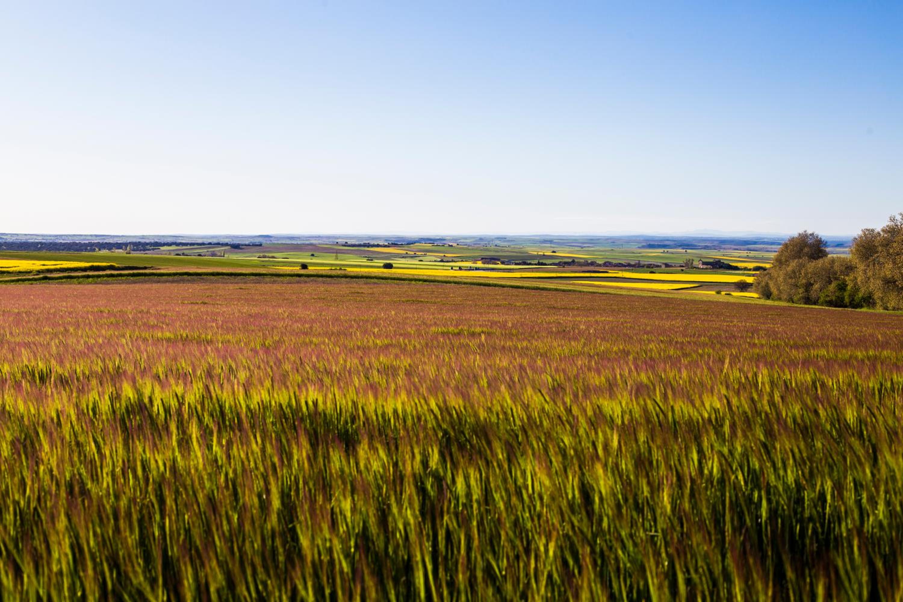 Posada Real del Buen Camino, alojamiento rural