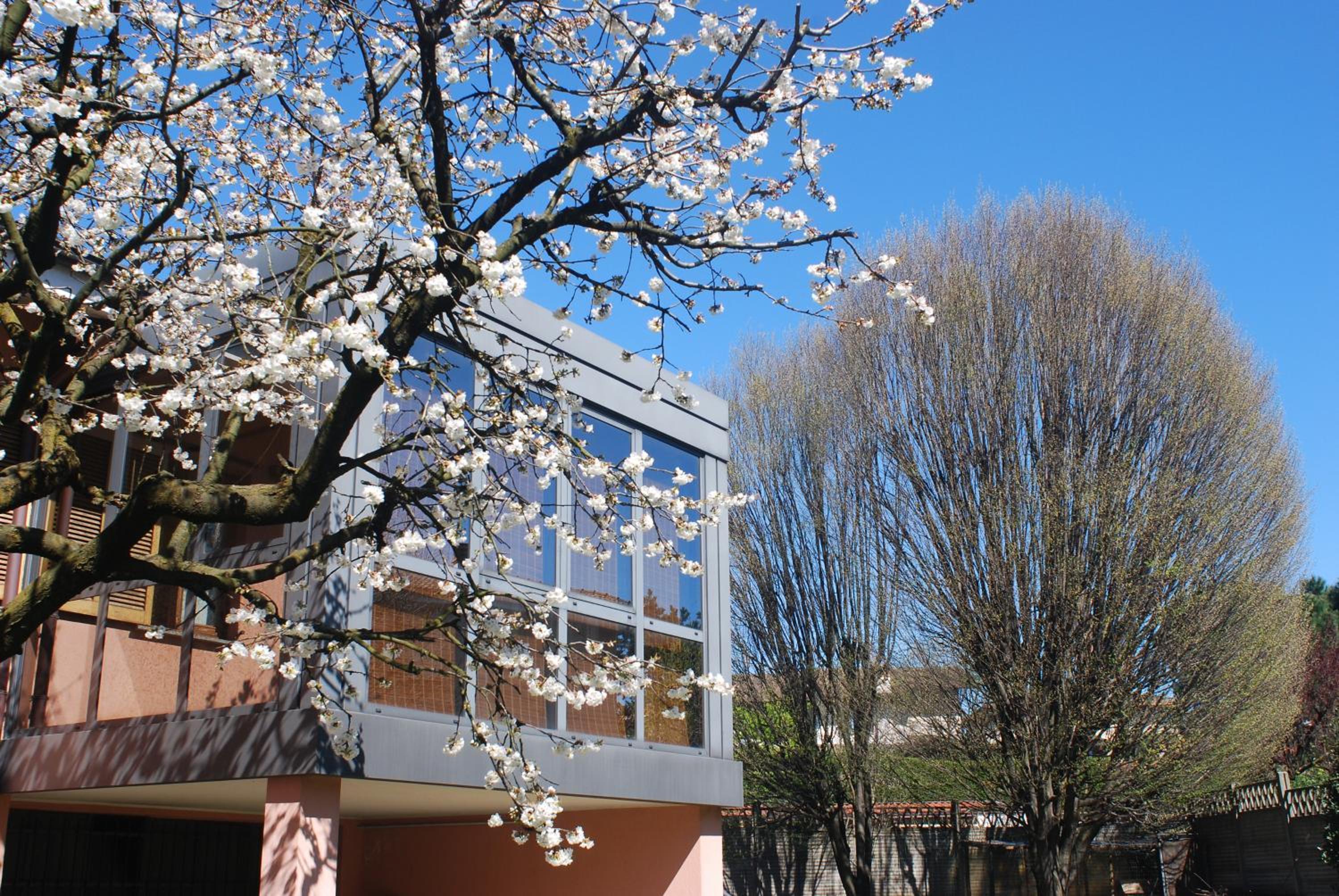 Hotel Beija-Flor b&b - Image 1