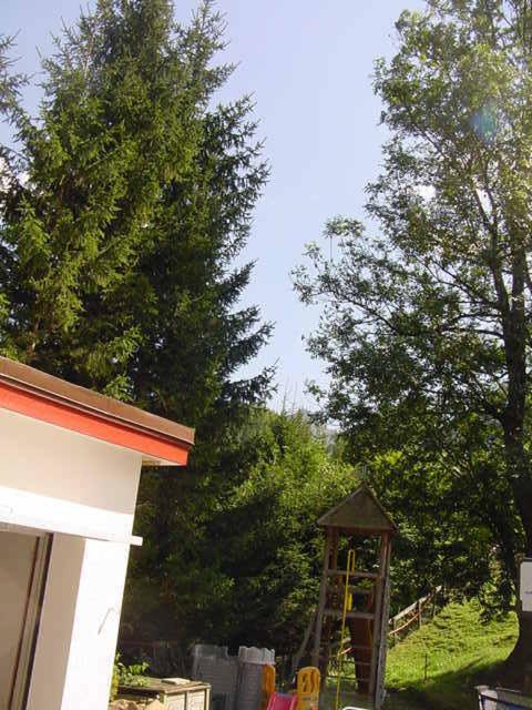 Photo 39