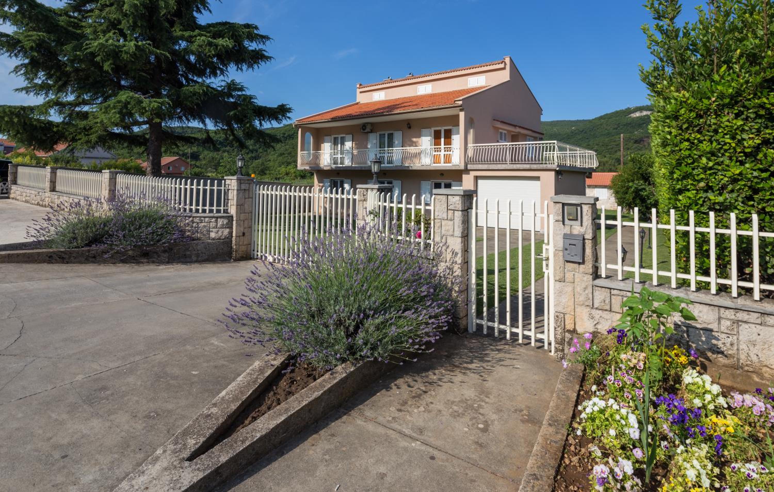 Apartments Raskovic view 5