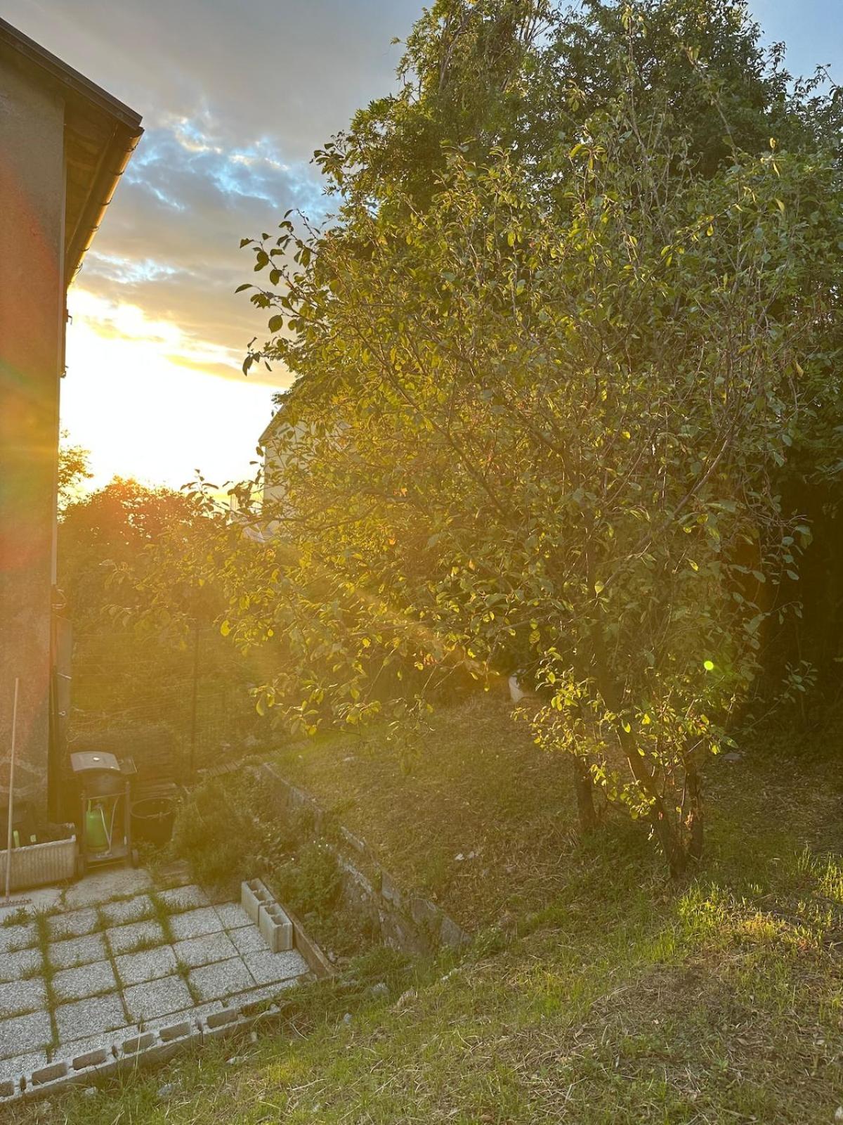 casa Ludovica-giardino privato, vista mare