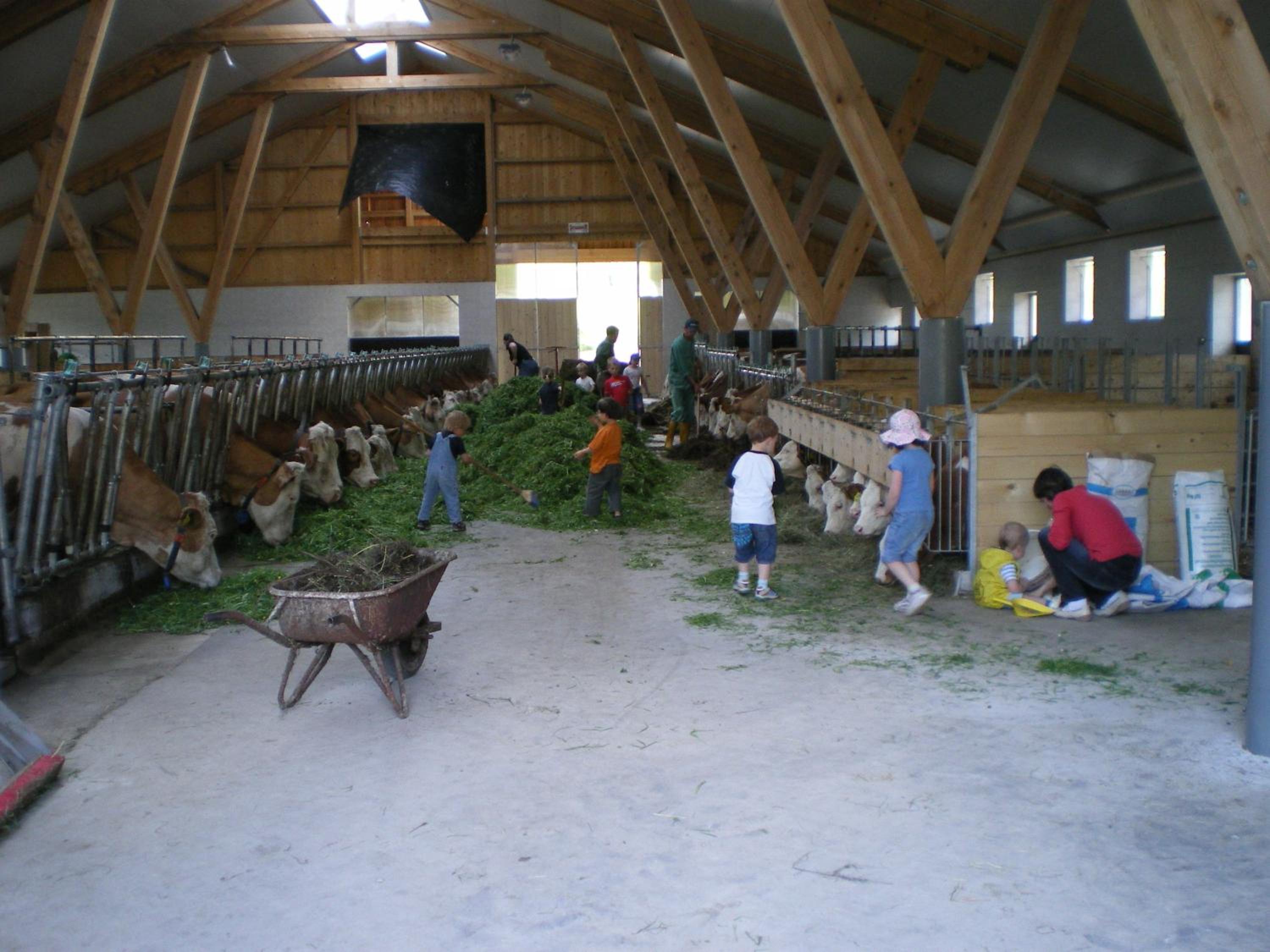 Russbachbauer