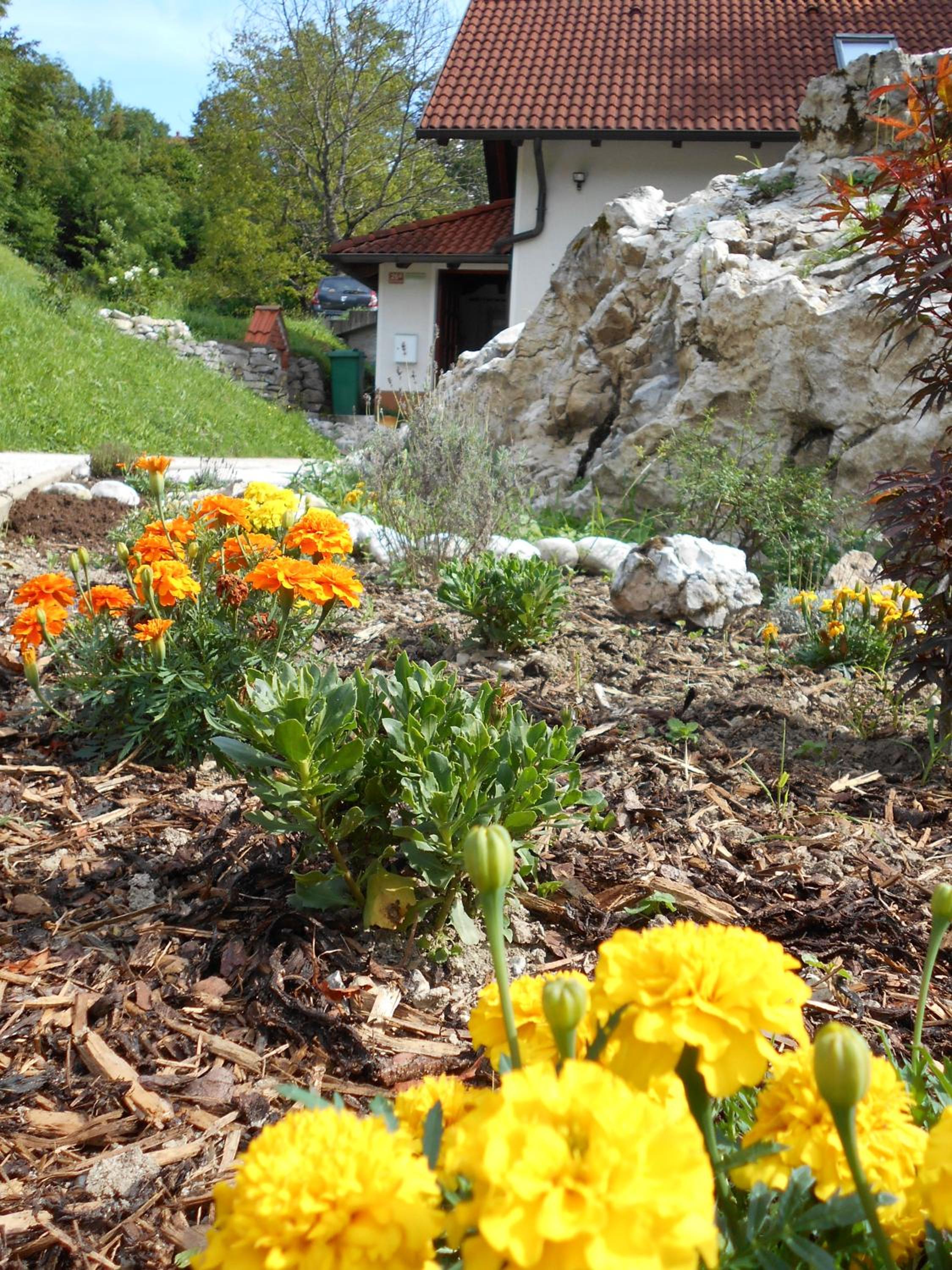 Photo 29