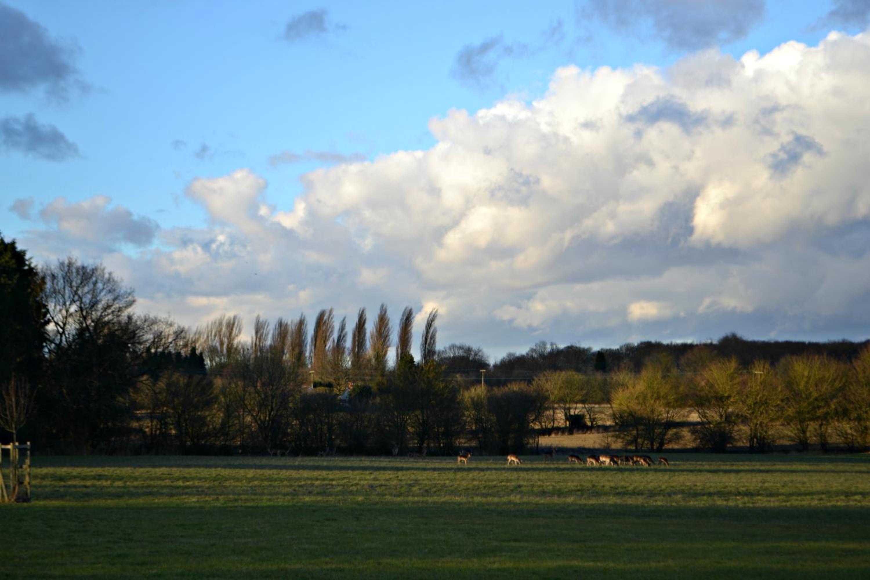 Little Bullocks Farm