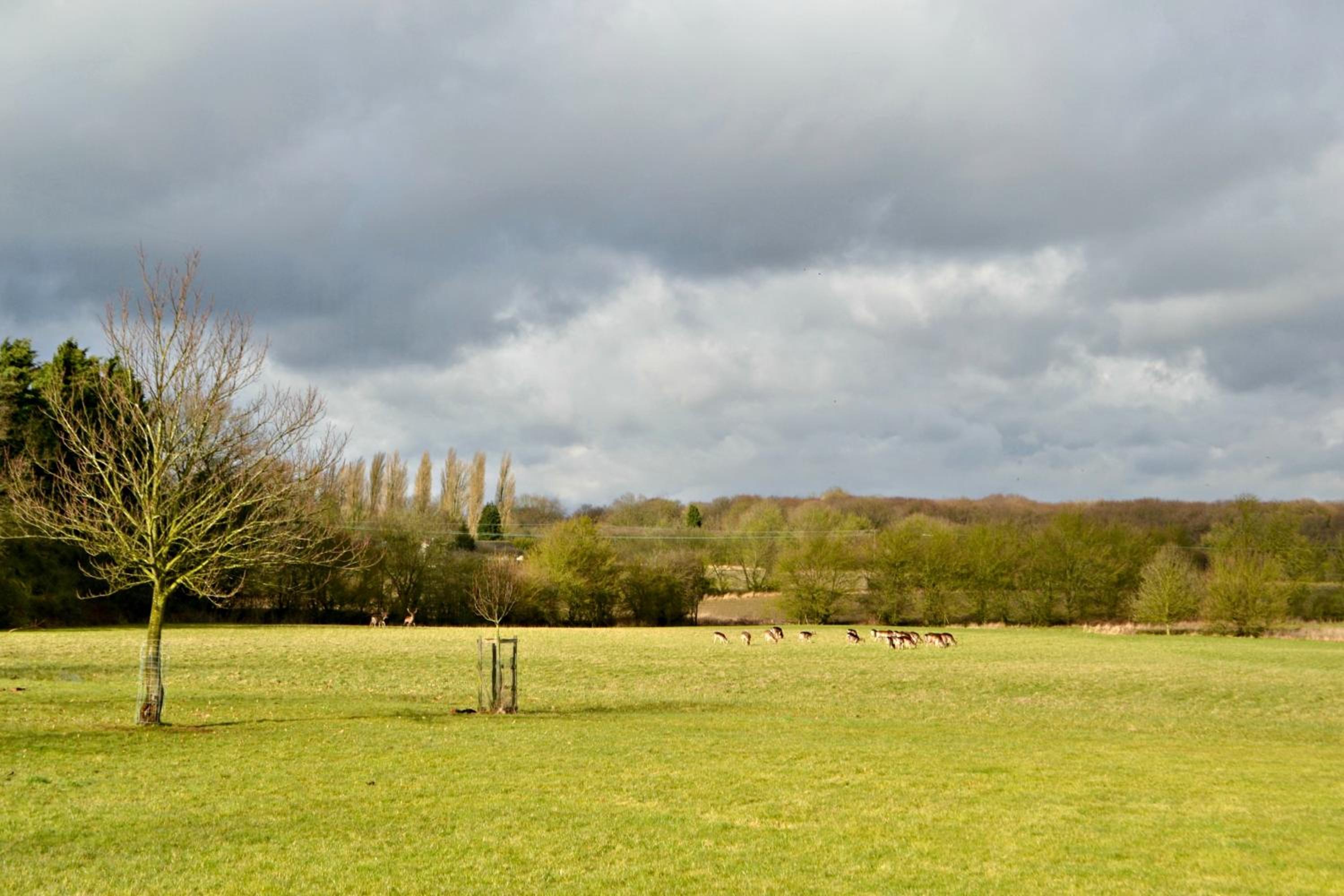 Little Bullocks Farm