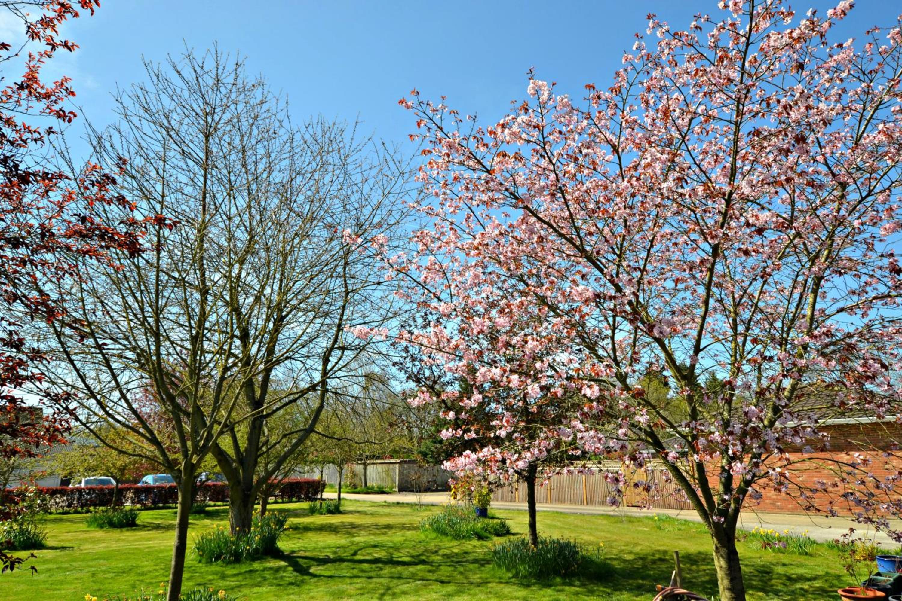 Little Bullocks Farm