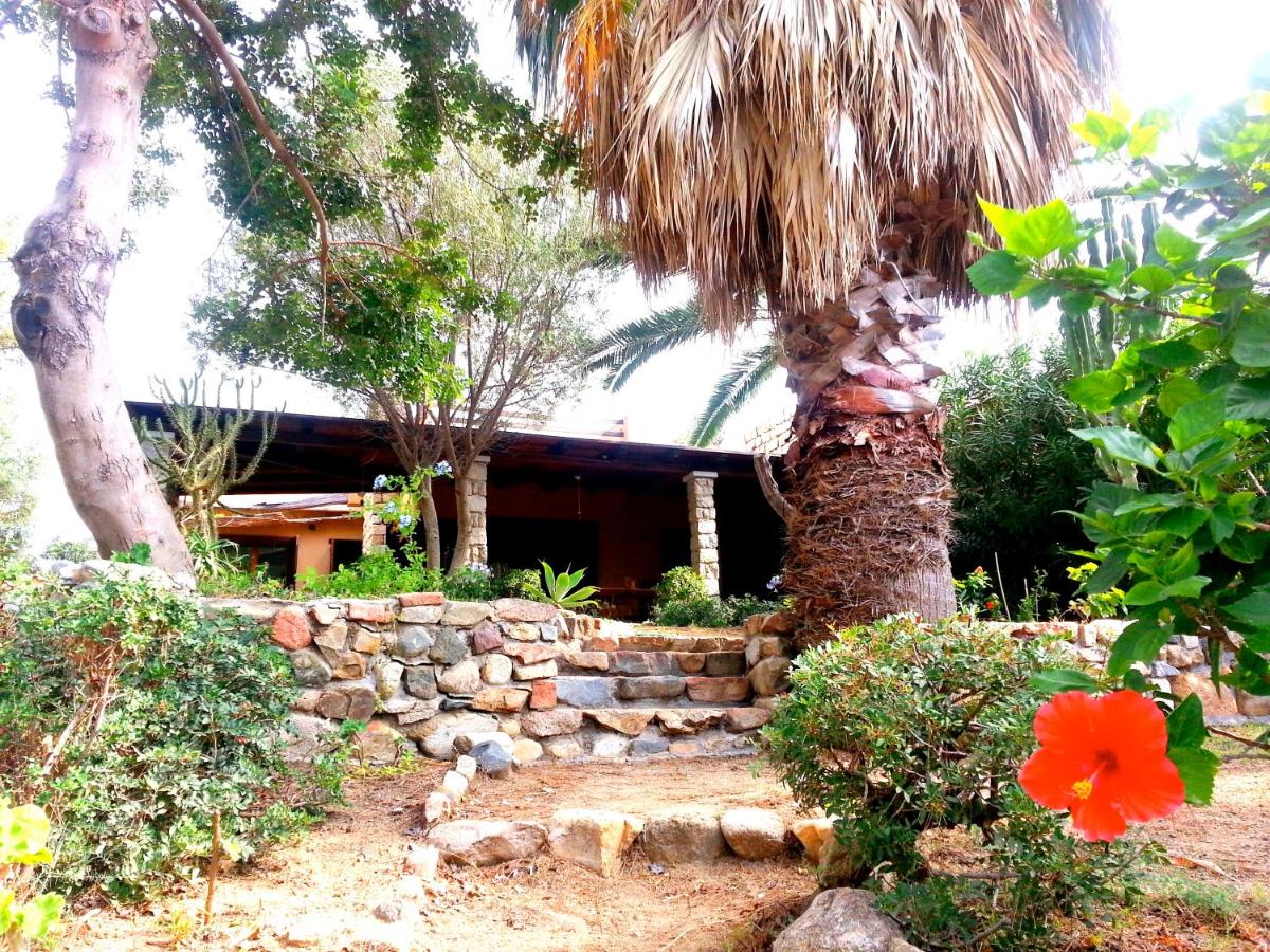 Mediterranean Garden Holiday Home view 4