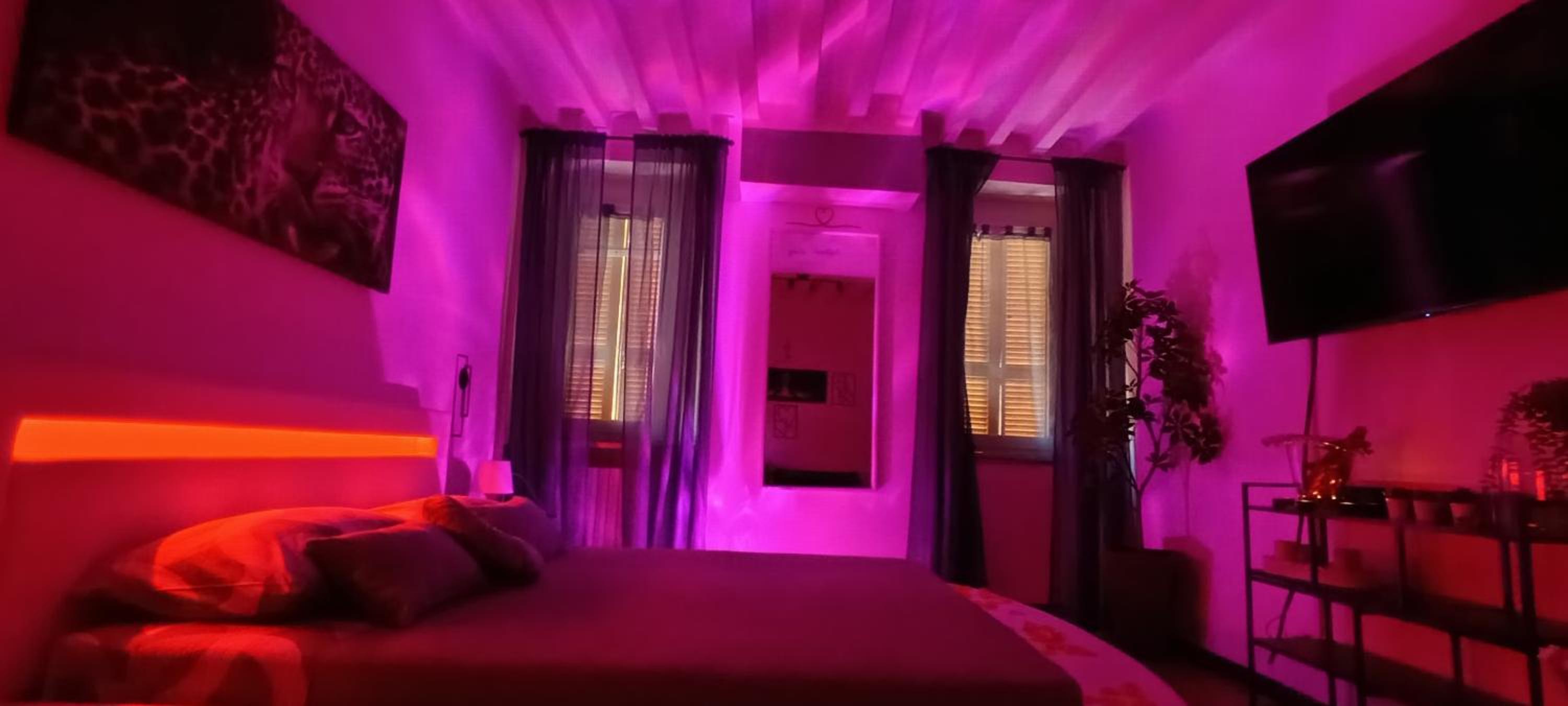 Il sogno di Elisa -romantico B&B nel centro di Parma