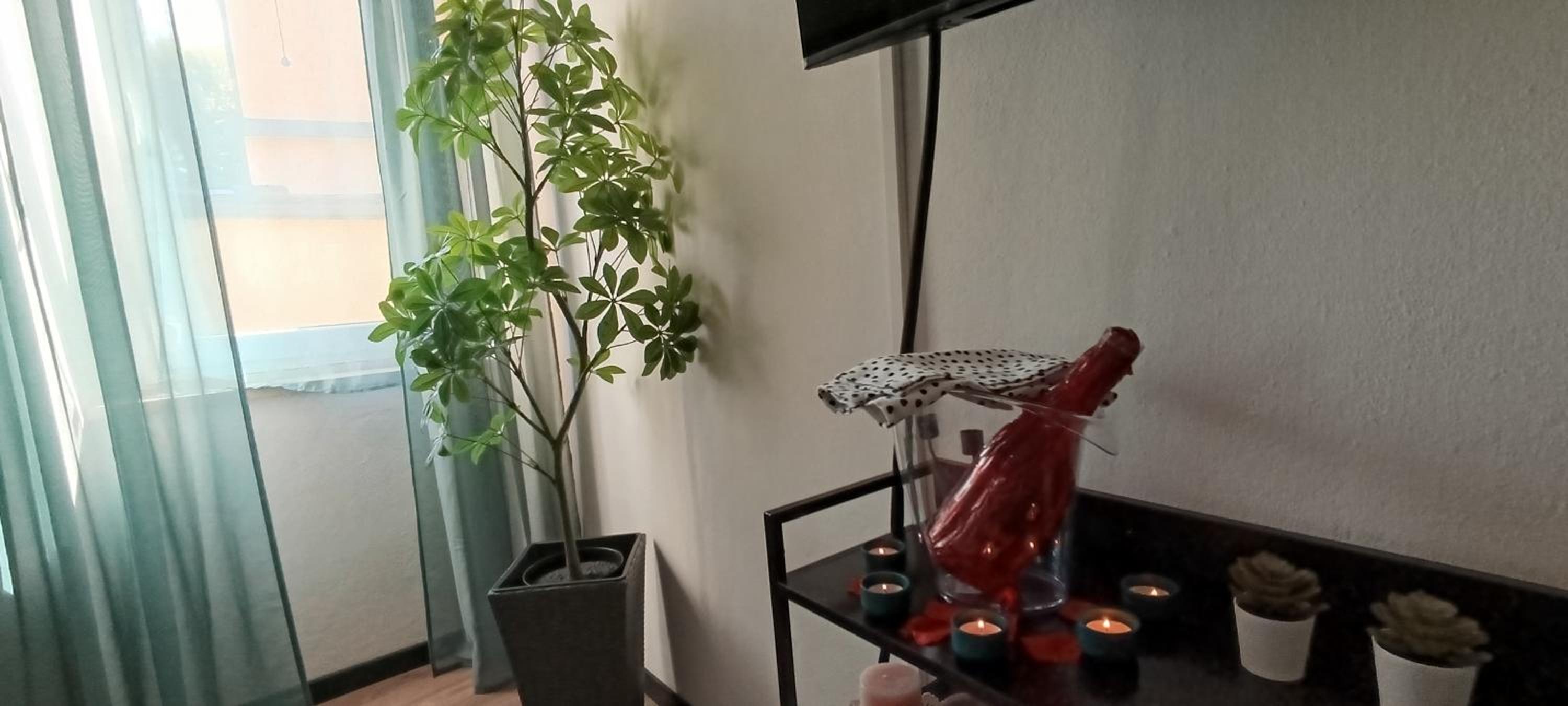 Il sogno di Elisa -romantico B&B nel centro di Parma