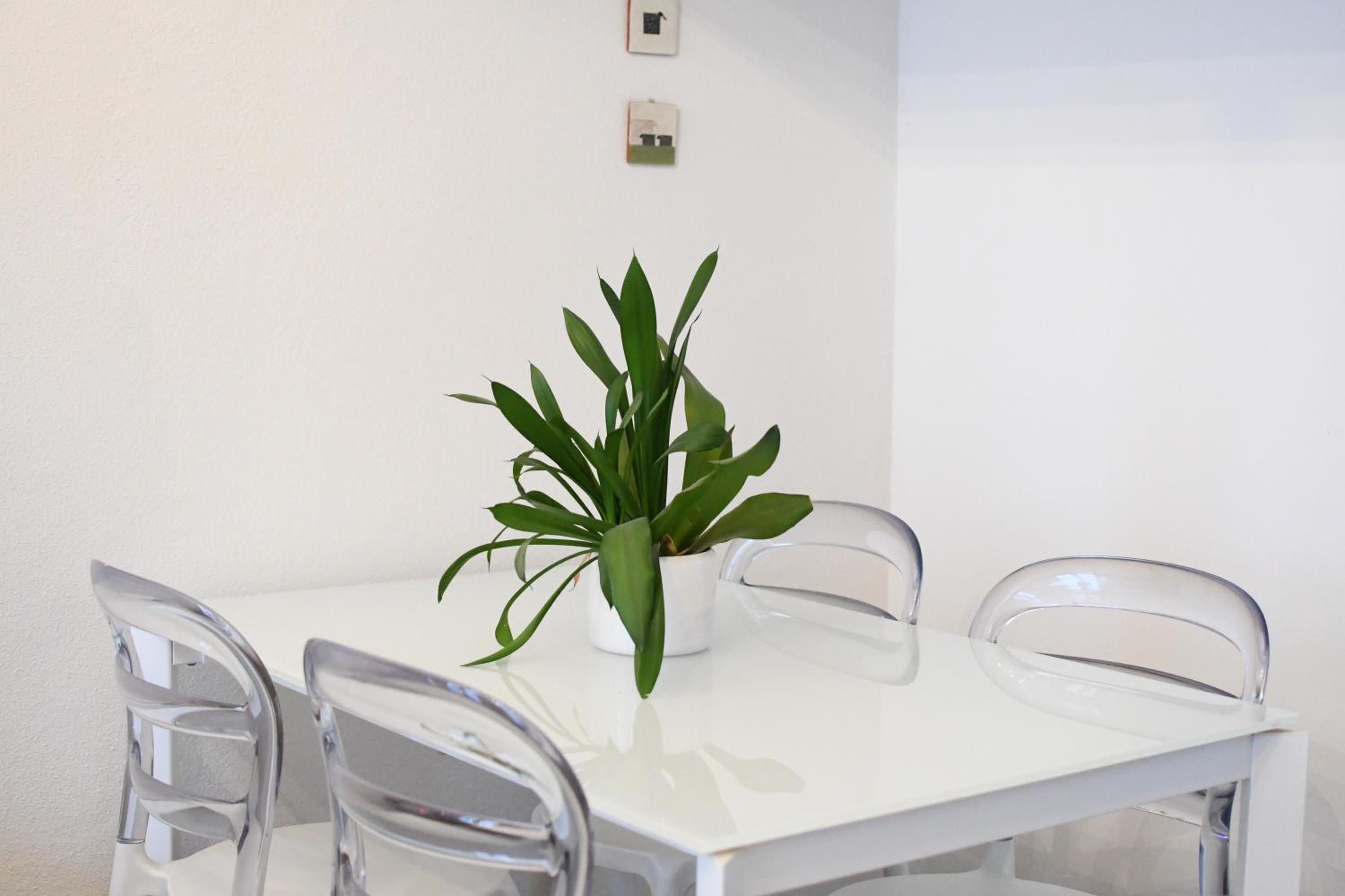 Freedom House - Loft in pieno centro