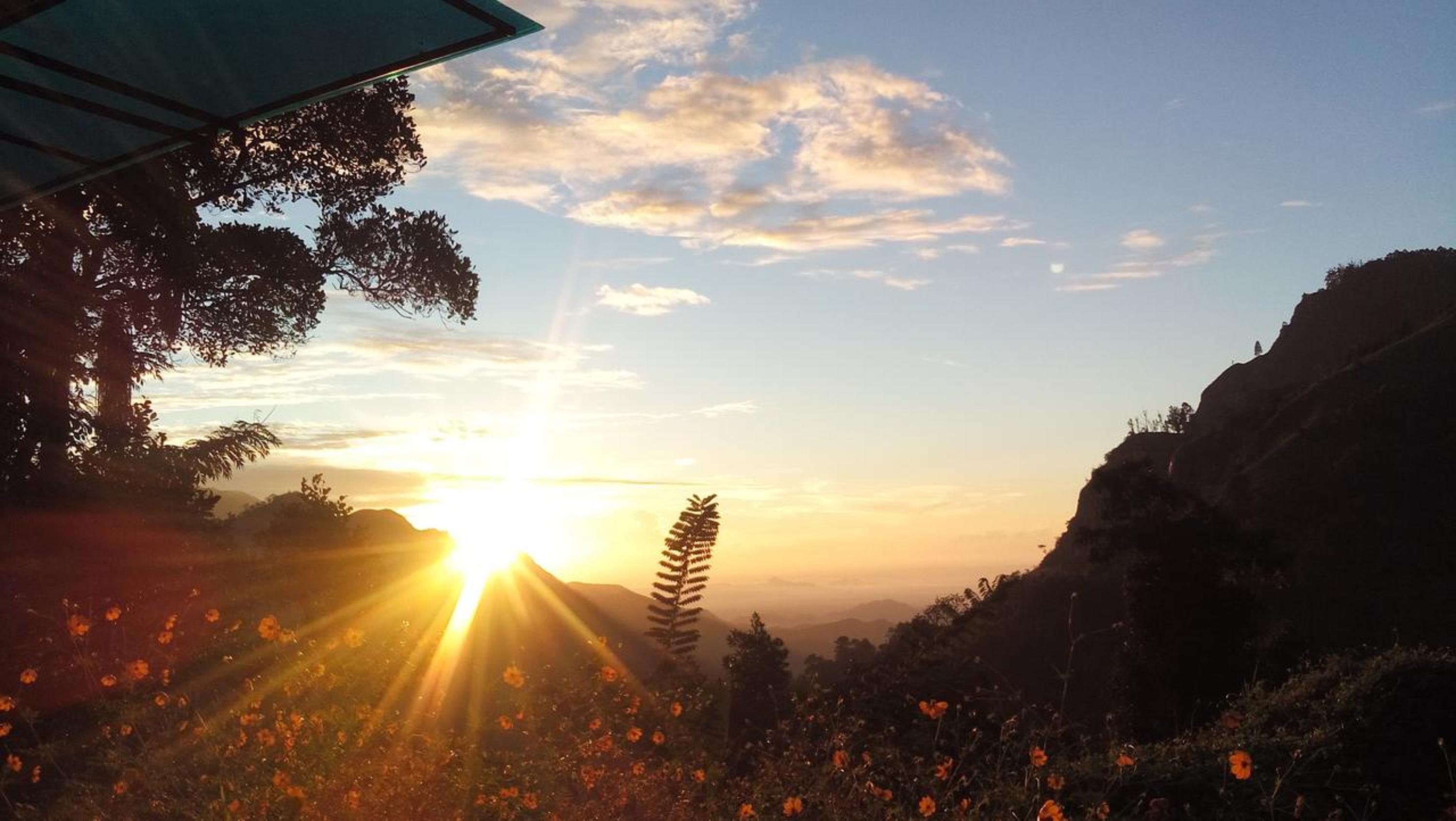 Blue Ribbon Homestay