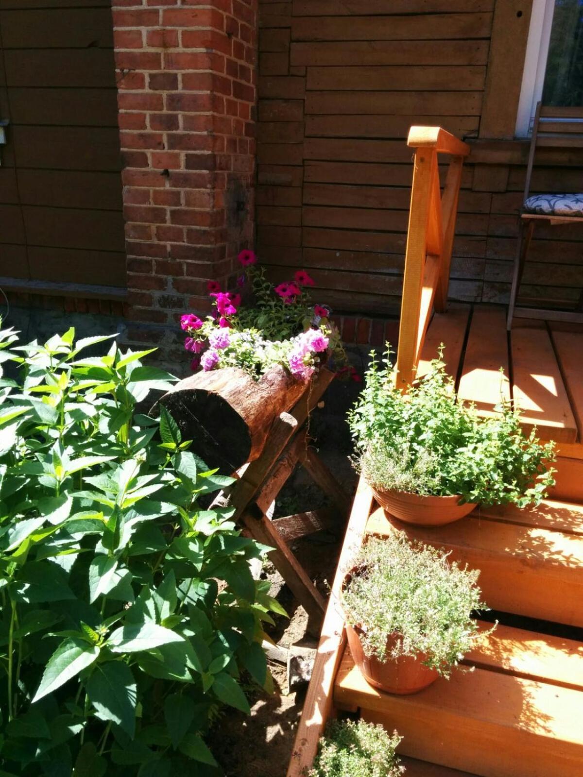 Hotel Viesu Nams Vilhelmīne - Image 1