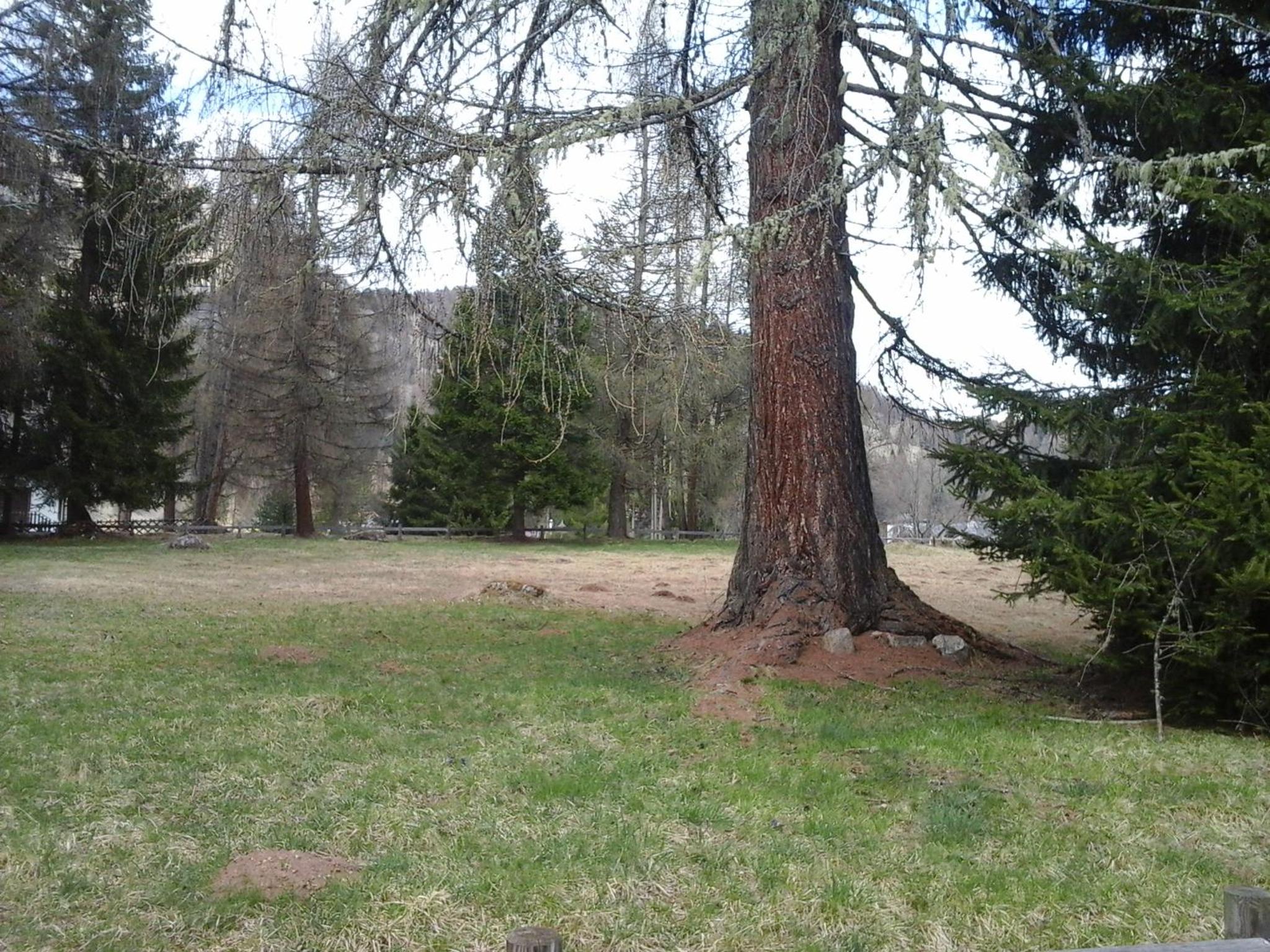 Villa La Brisa en Predazzo