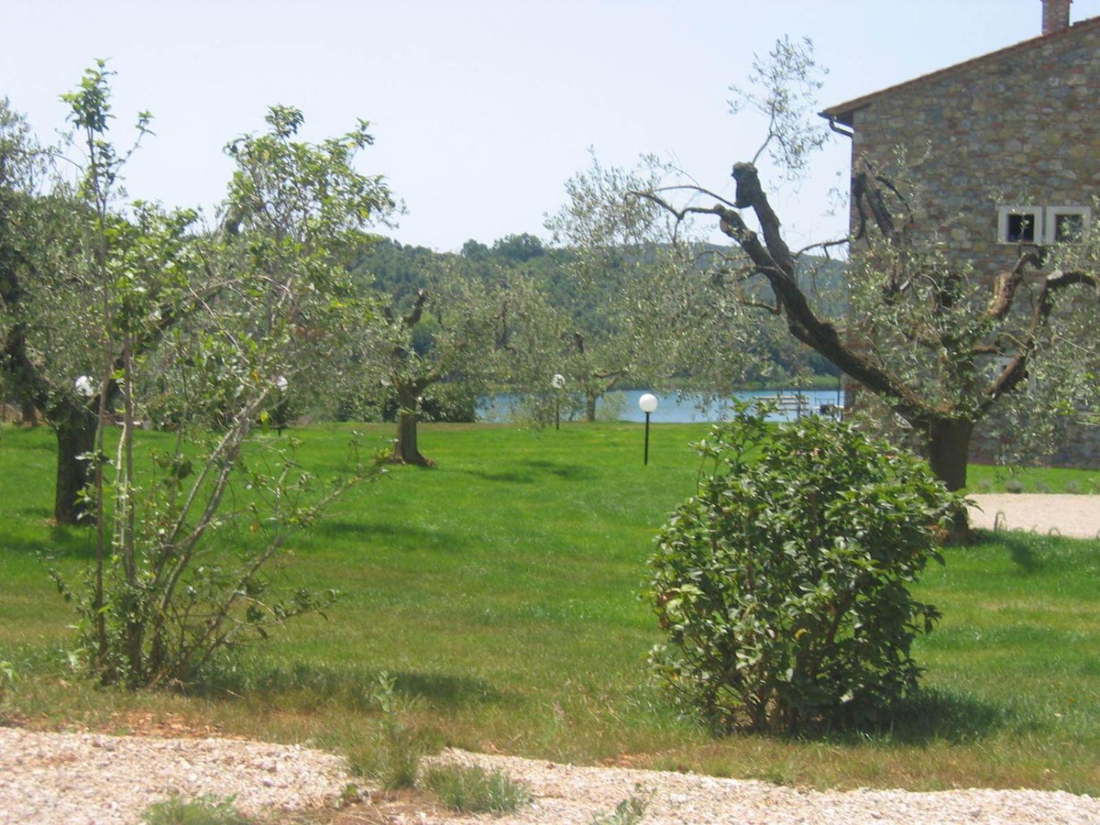 Photo 49