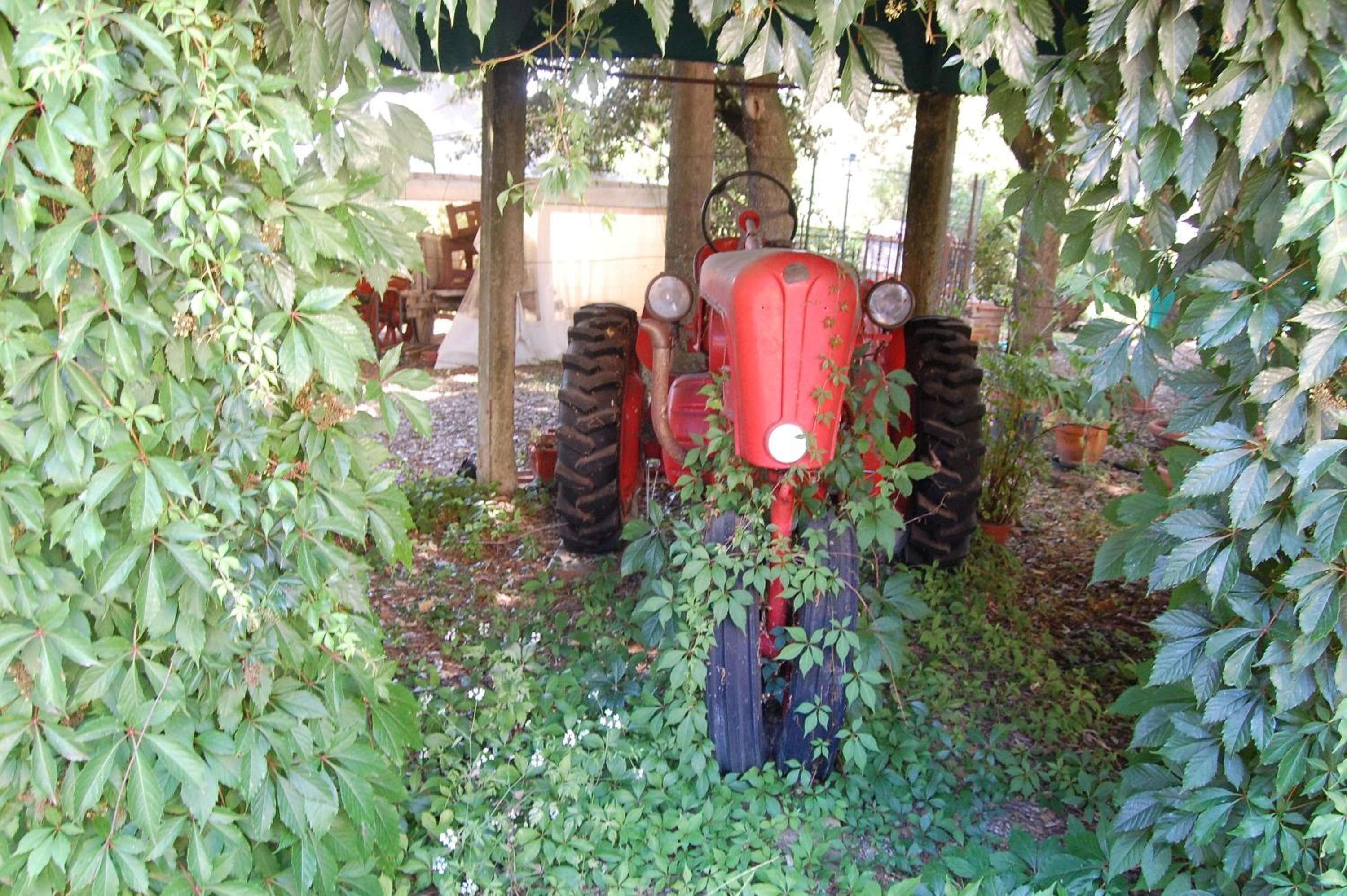 Photo 20