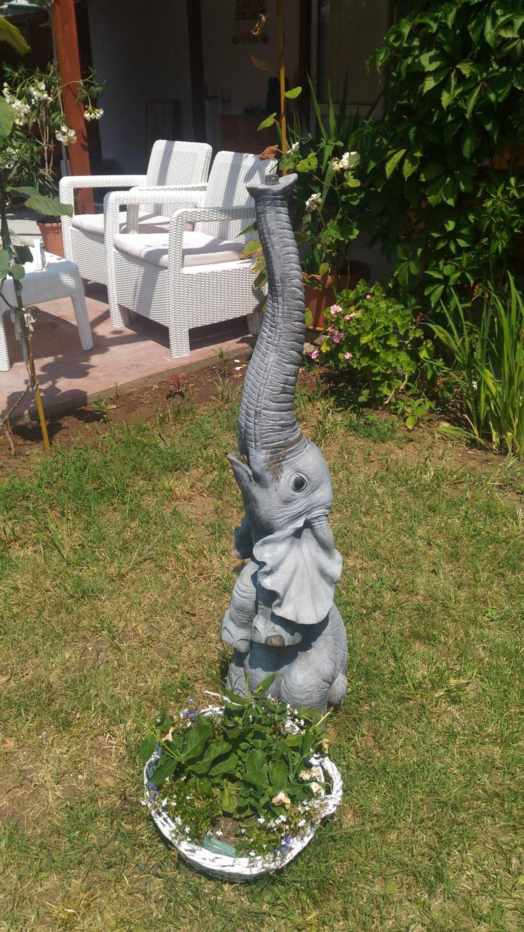 Photo 41