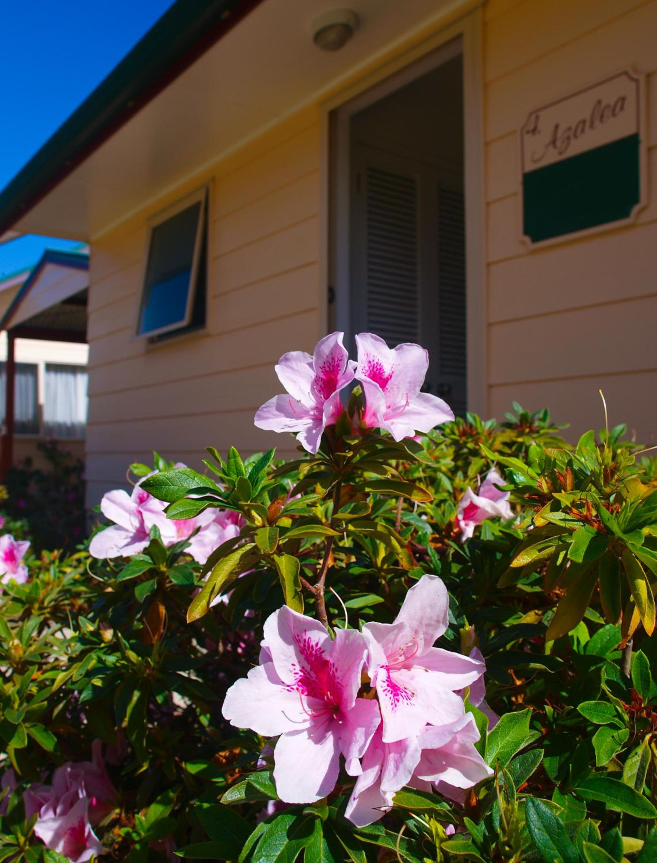 Poinciana Cottages